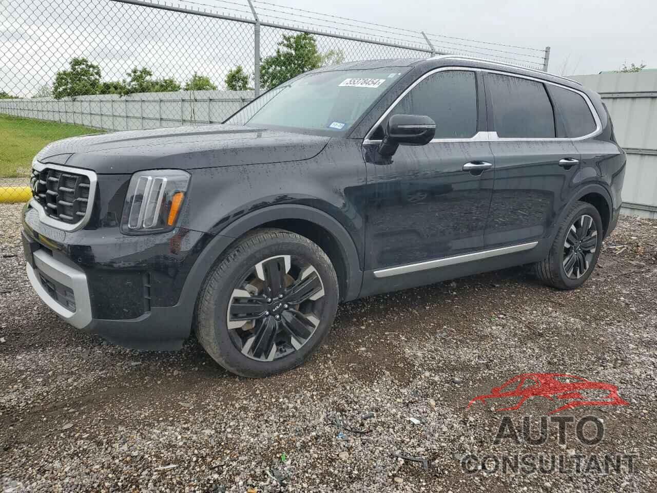 KIA TELLURIDE 2024 - 5XYP5DGC2RG441367