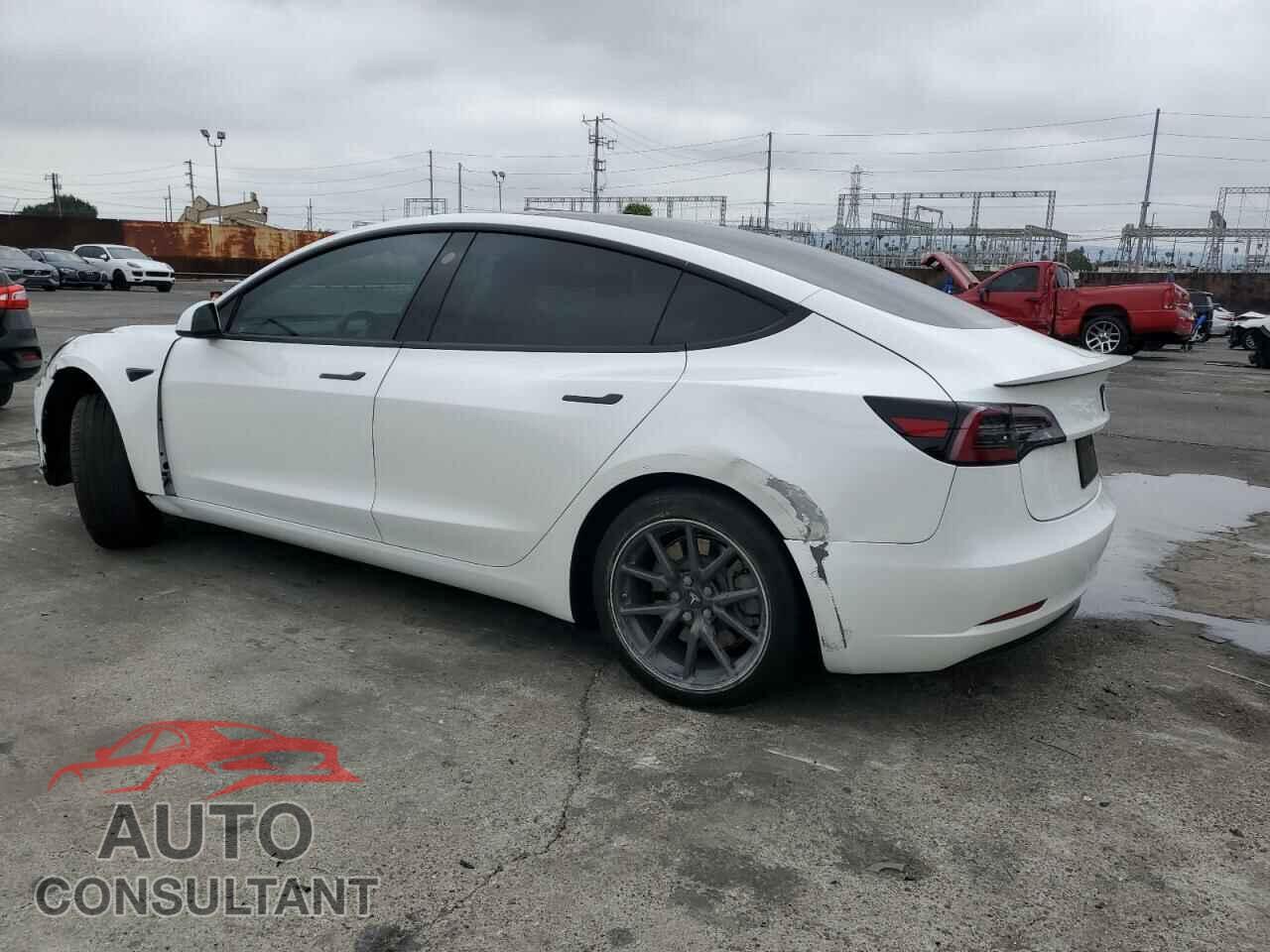 TESLA MODEL 3 2019 - 5YJ3E1EA7KF309944
