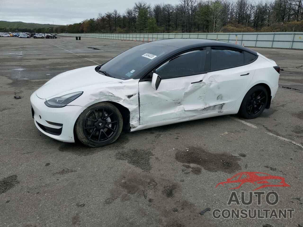 TESLA MODEL 3 2021 - 5YJ3E1EA0MF029723