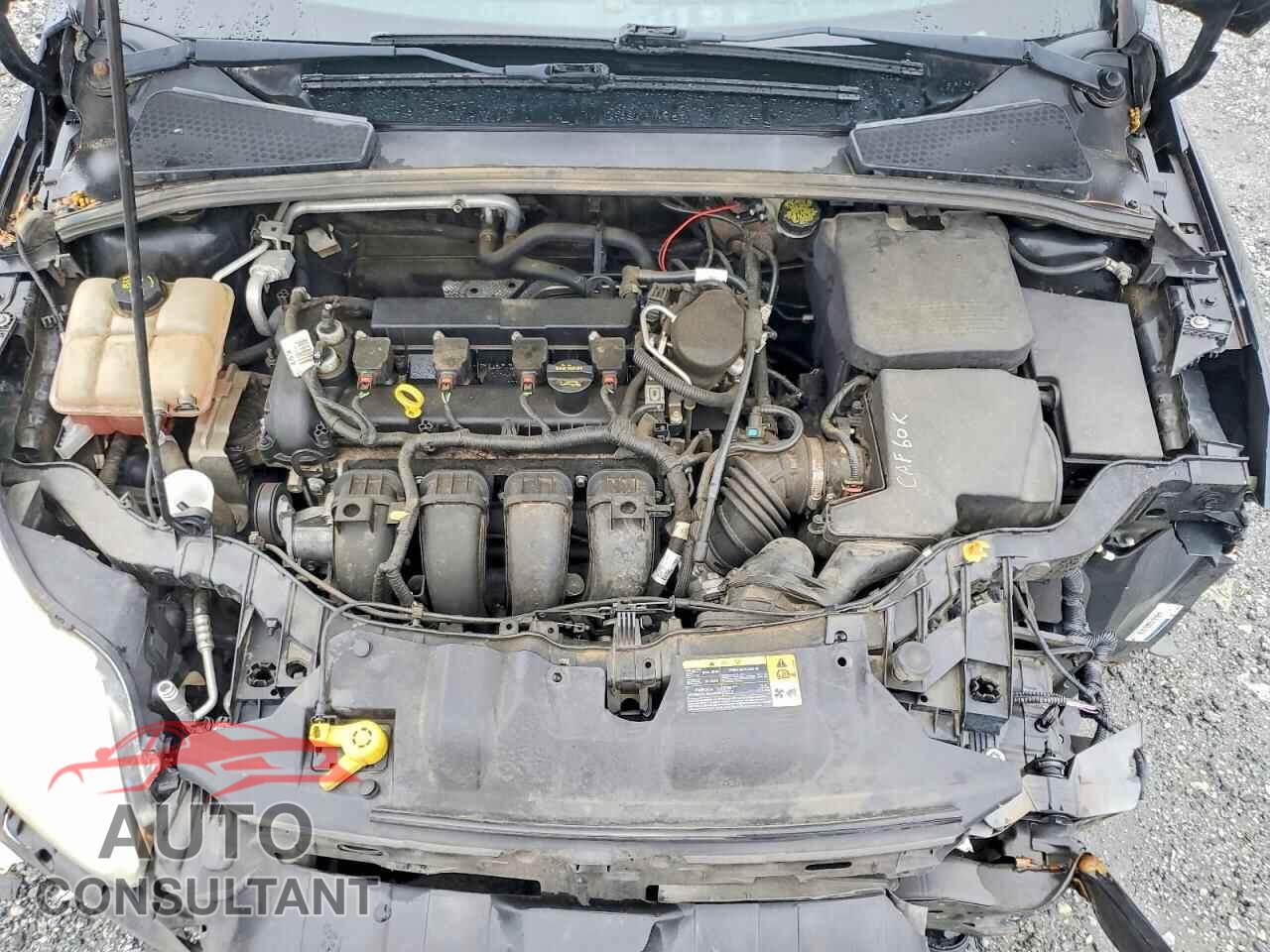 FORD FOCUS 2014 - 1FADP3F2XEL251322