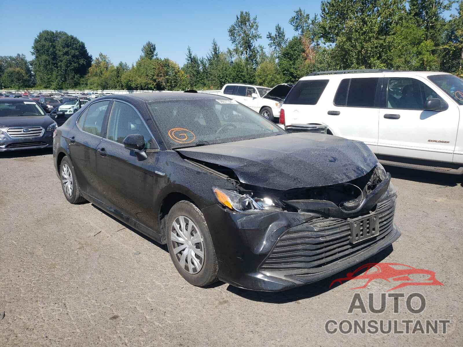 TOYOTA CAMRY 2019 - 4T1B31HK4KU509074