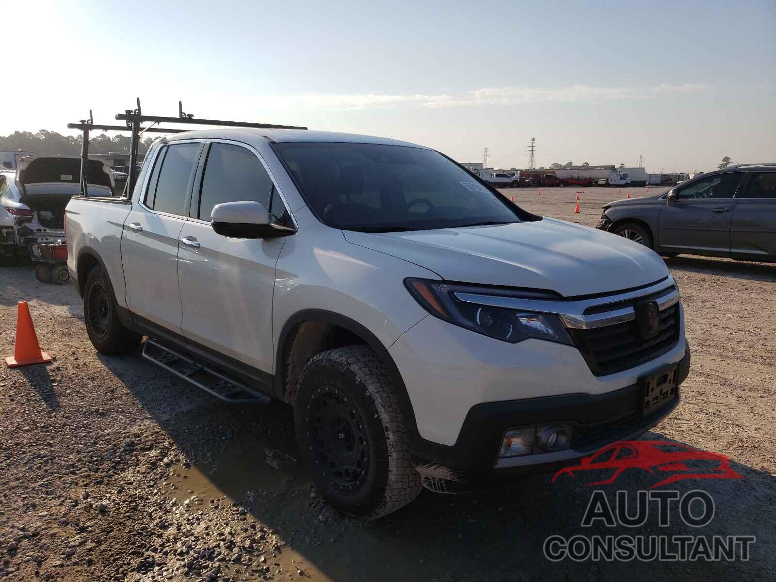 HONDA RIDGELINE 2019 - 5FPYK3F7XKB037667