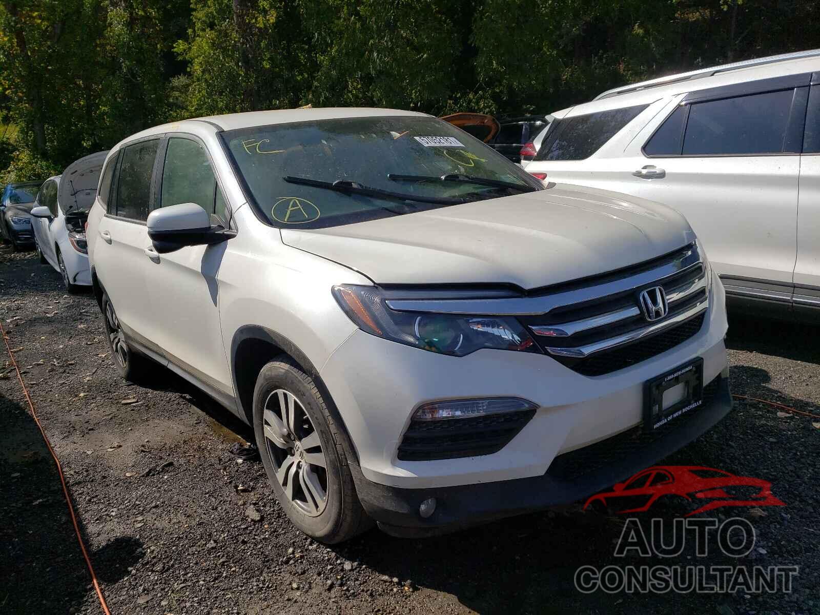 HONDA PILOT 2017 - 5FNYF6H36HB066066