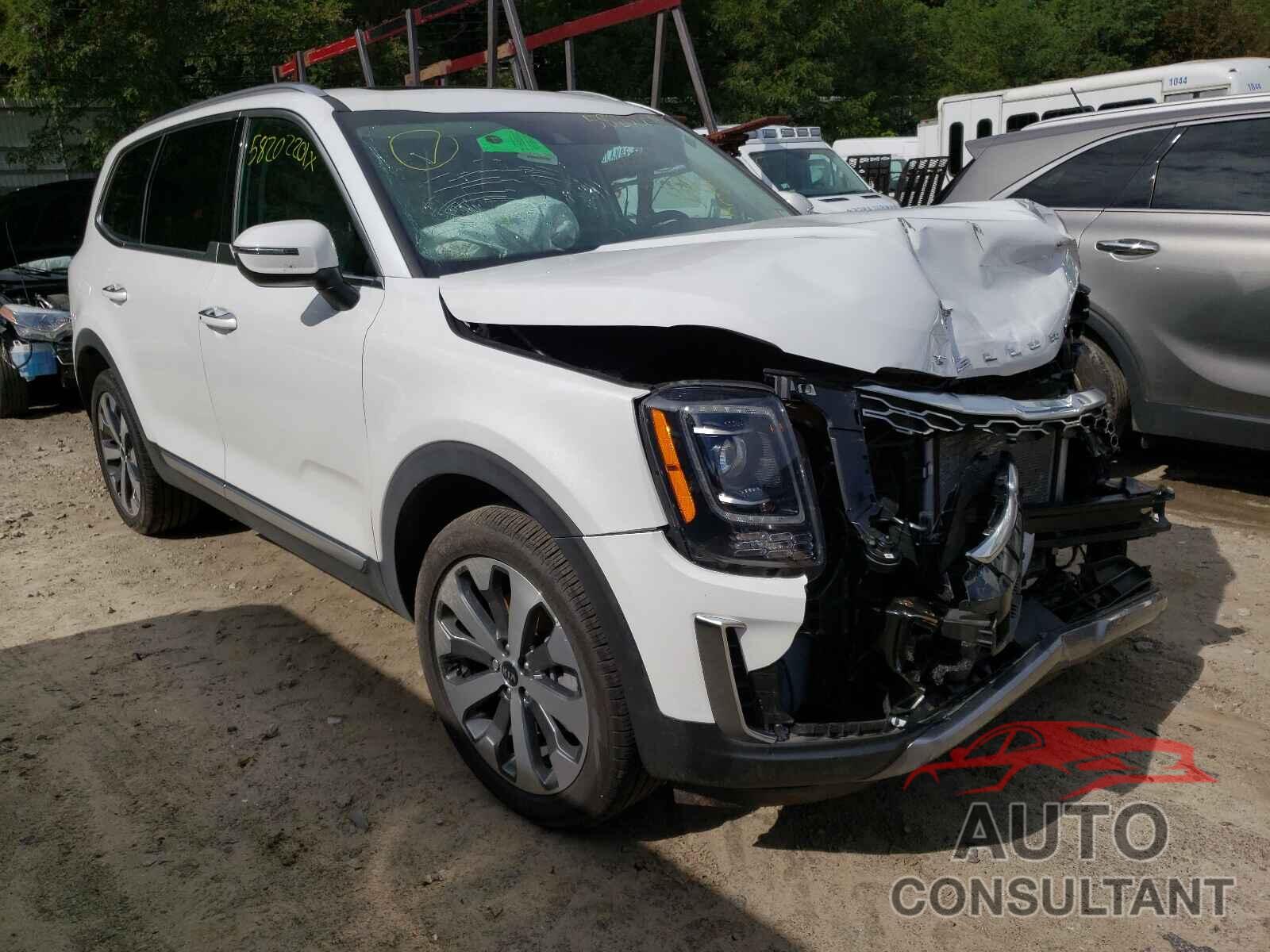 KIA TELLURIDE 2020 - 5XYP6DHC3LG084493