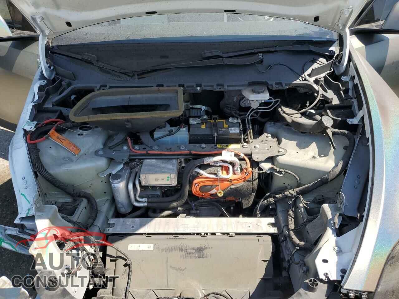 TESLA MODEL Y 2021 - 5YJYGDEE3MF063188