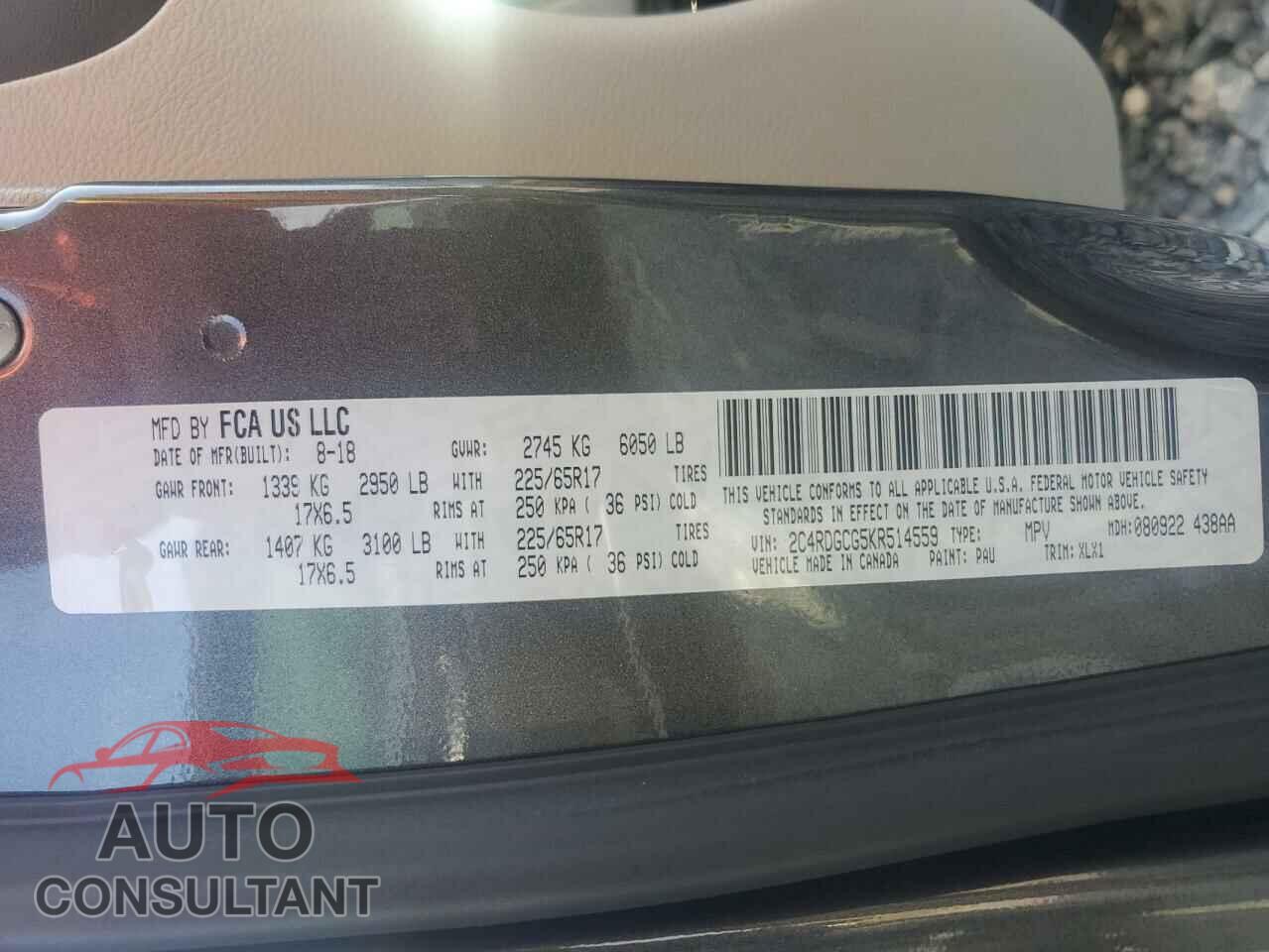DODGE CARAVAN 2019 - 2C4RDGCG5KR514559