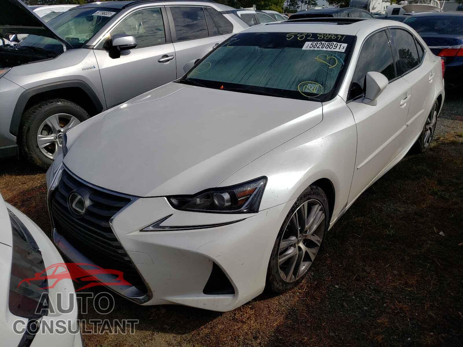 LEXUS IS 2019 - JTHC81D24K5033949