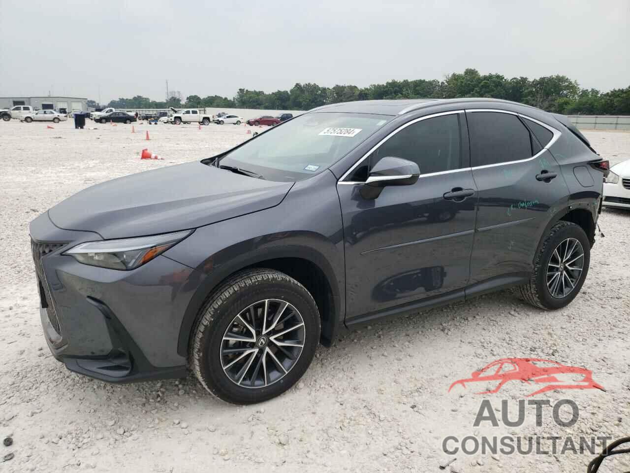 LEXUS NX 250 PRE 2024 - 2T2GDCAZ6RC007566