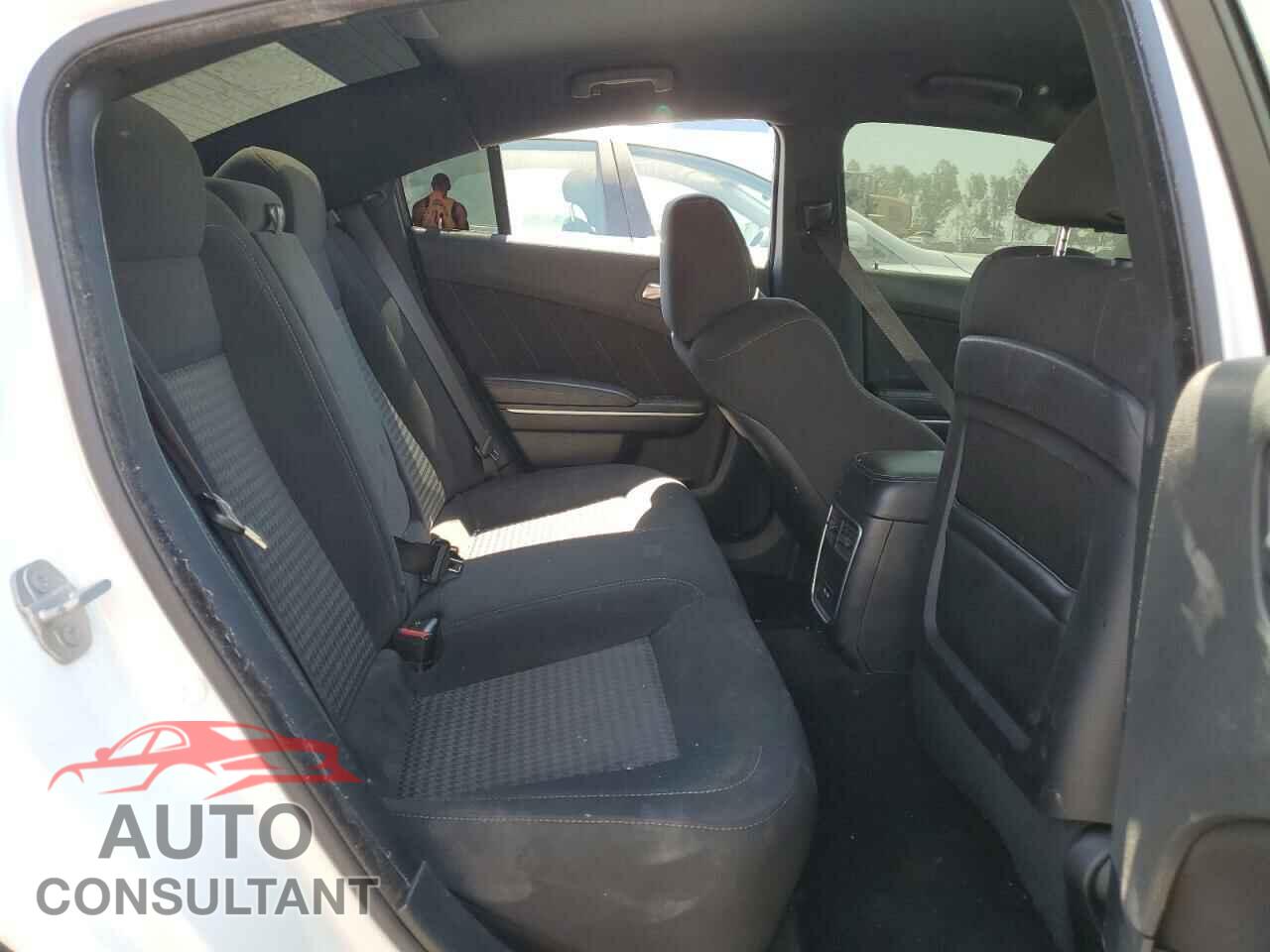 DODGE CHARGER 2019 - 2C3CDXGJ1KH753905