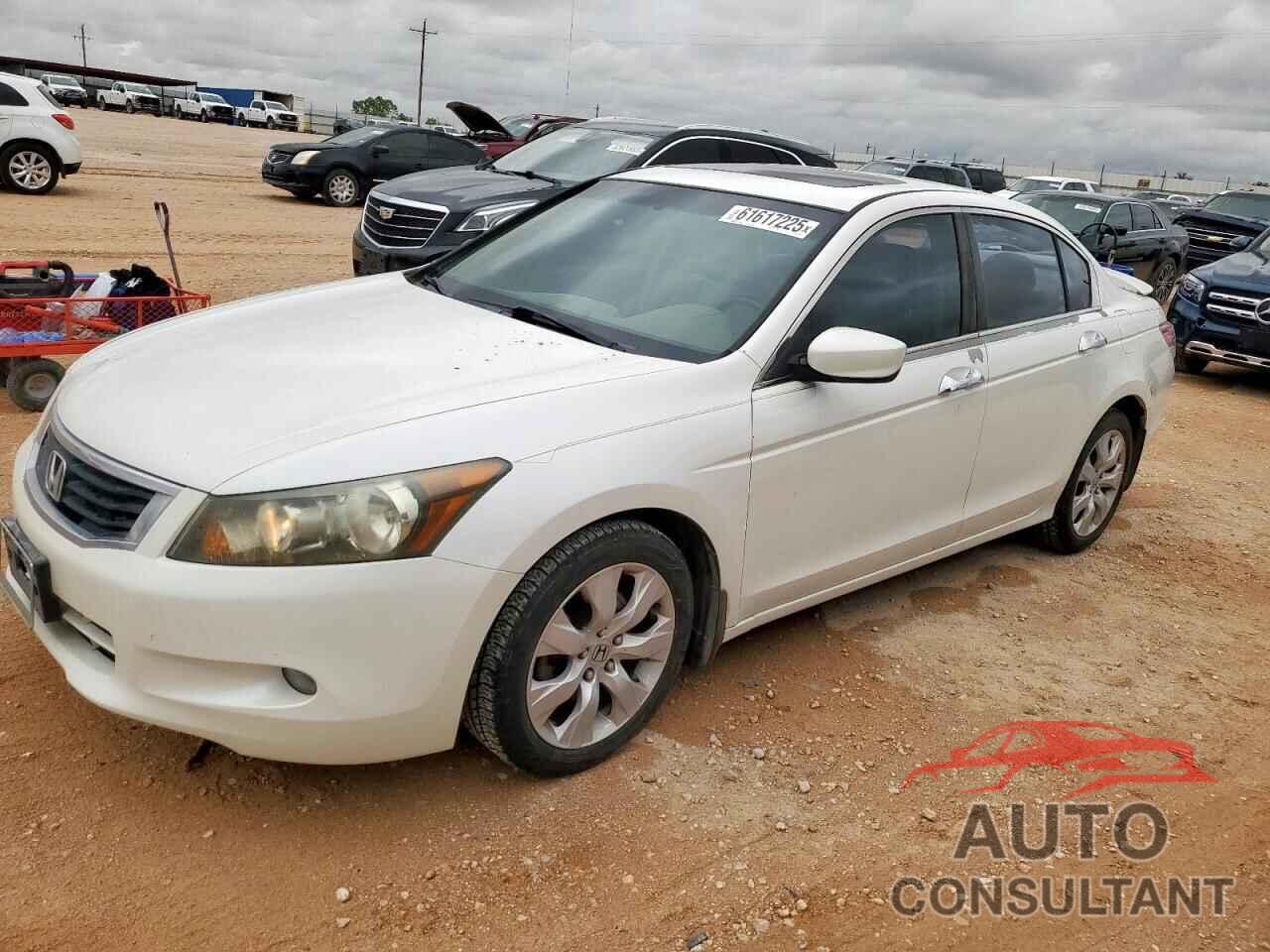 HONDA ACCORD 2010 - 5KBCP3F87AB011251