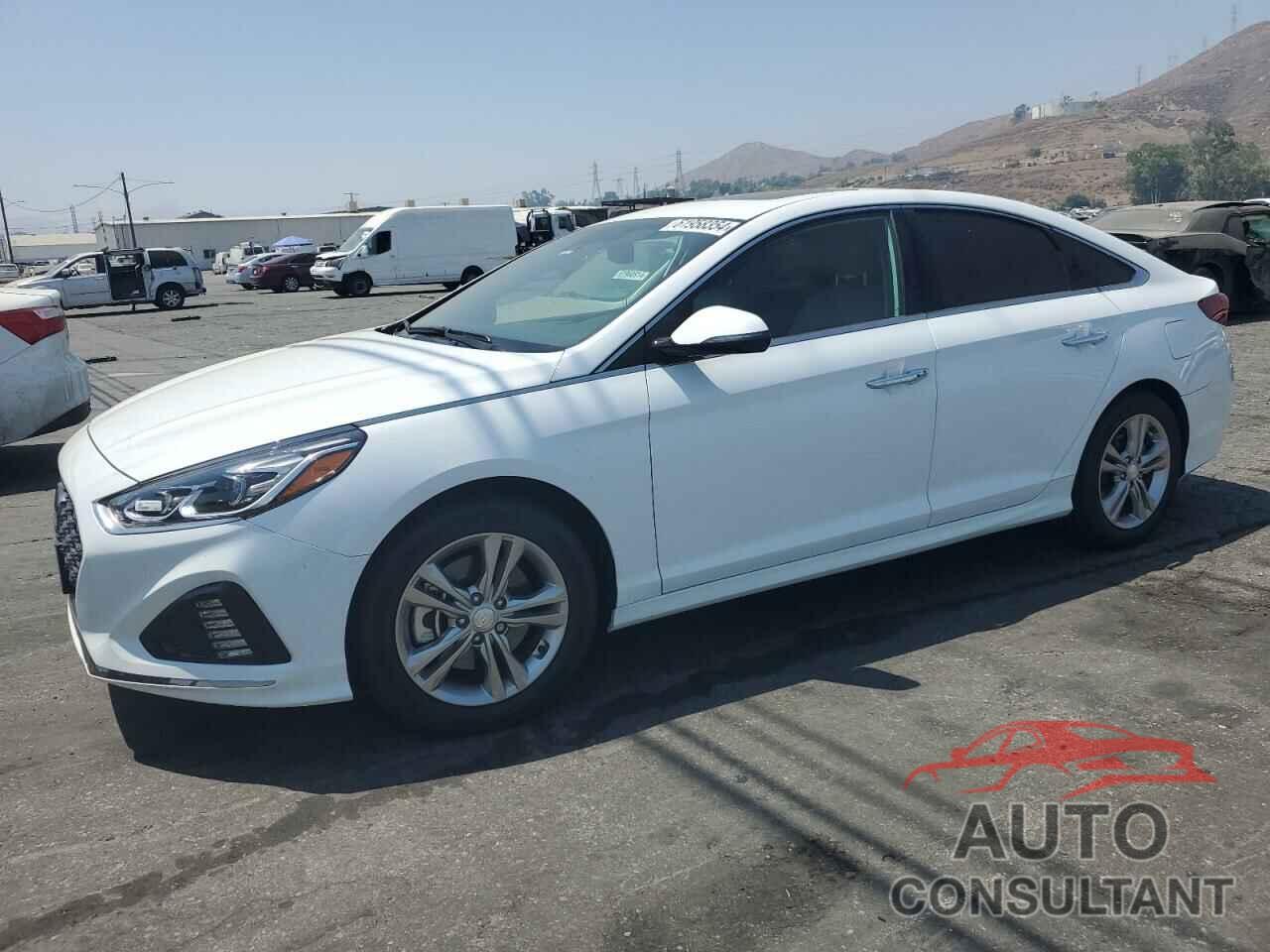 HYUNDAI SONATA 2019 - 5NPE34AF9KH730826