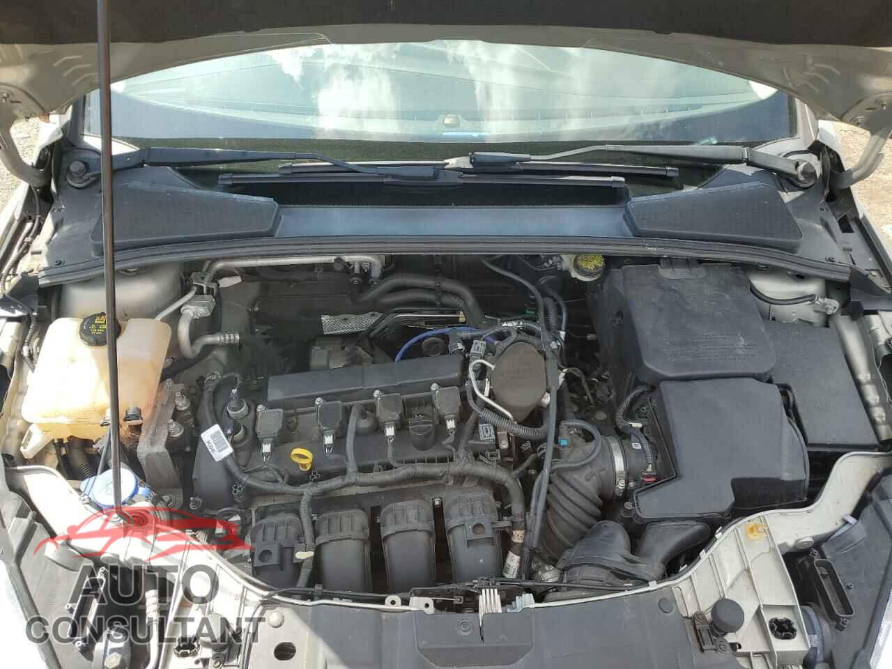 FORD FOCUS 2016 - 1FADP3K20GL266310