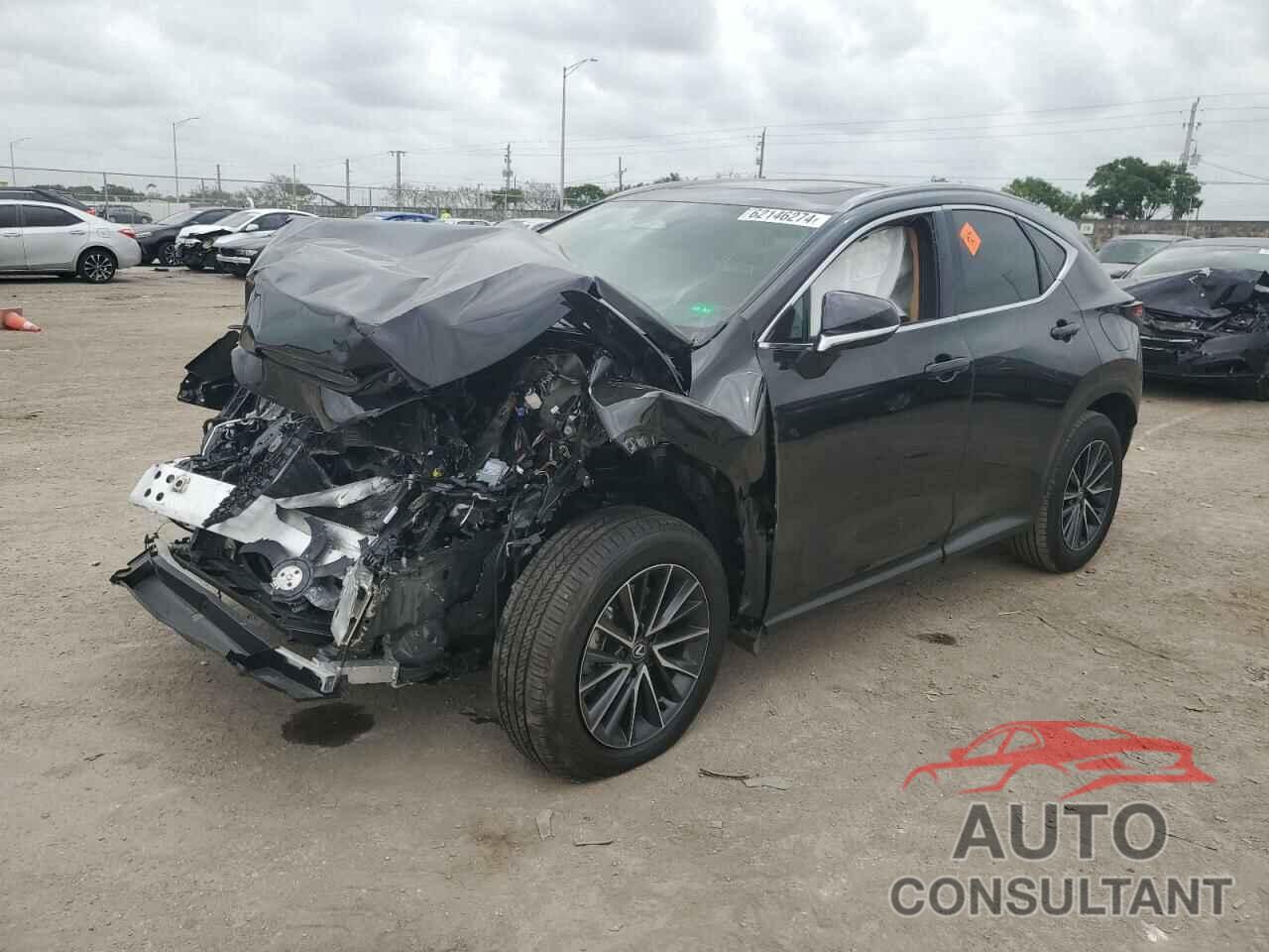 LEXUS NX 250 BAS 2024 - 2T2ADCAZ9RC013724