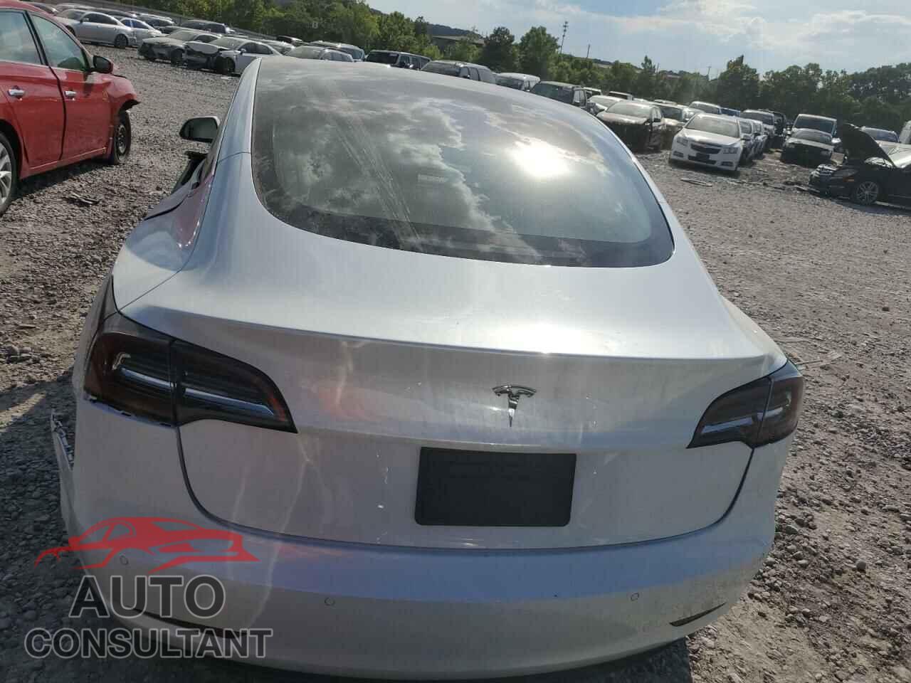 TESLA MODEL 3 2020 - 5YJ3E1EA5LF509934