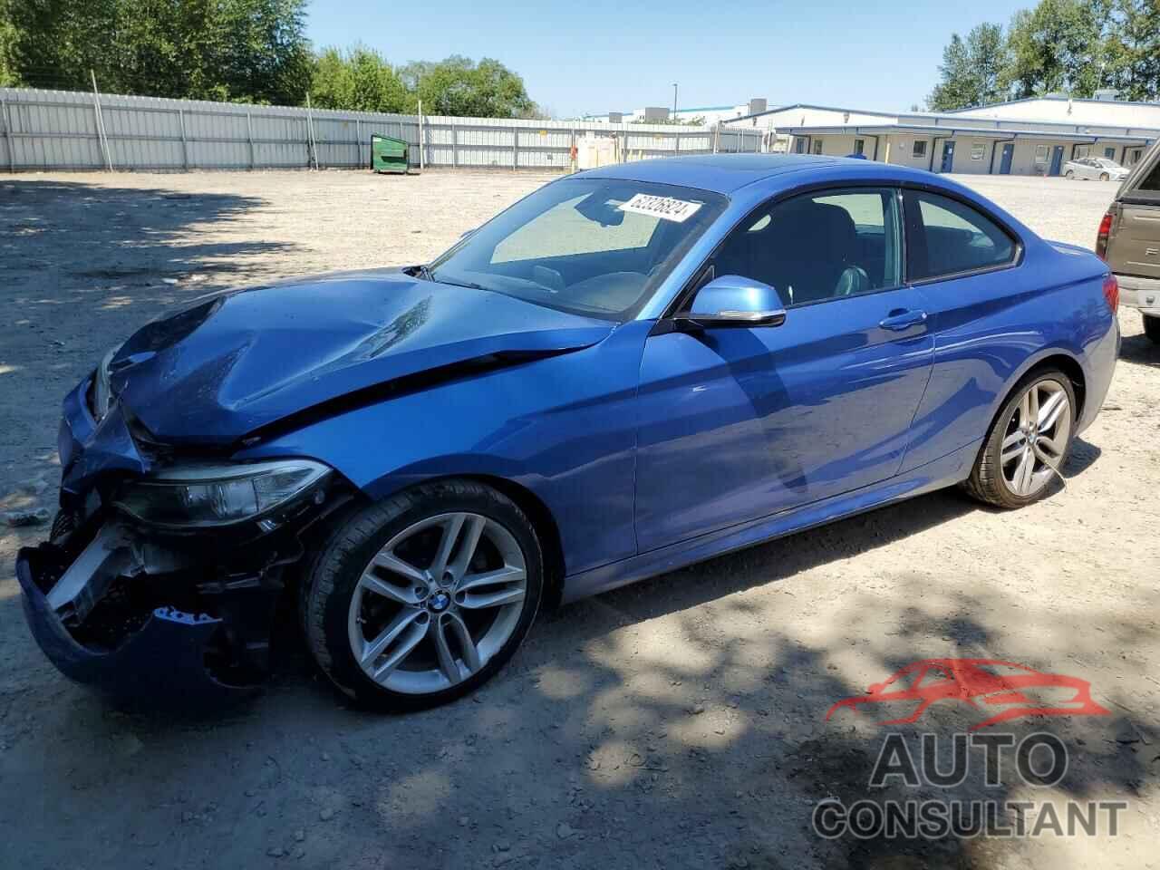 BMW 2 SERIES 2016 - WBA1G9C58GV599400