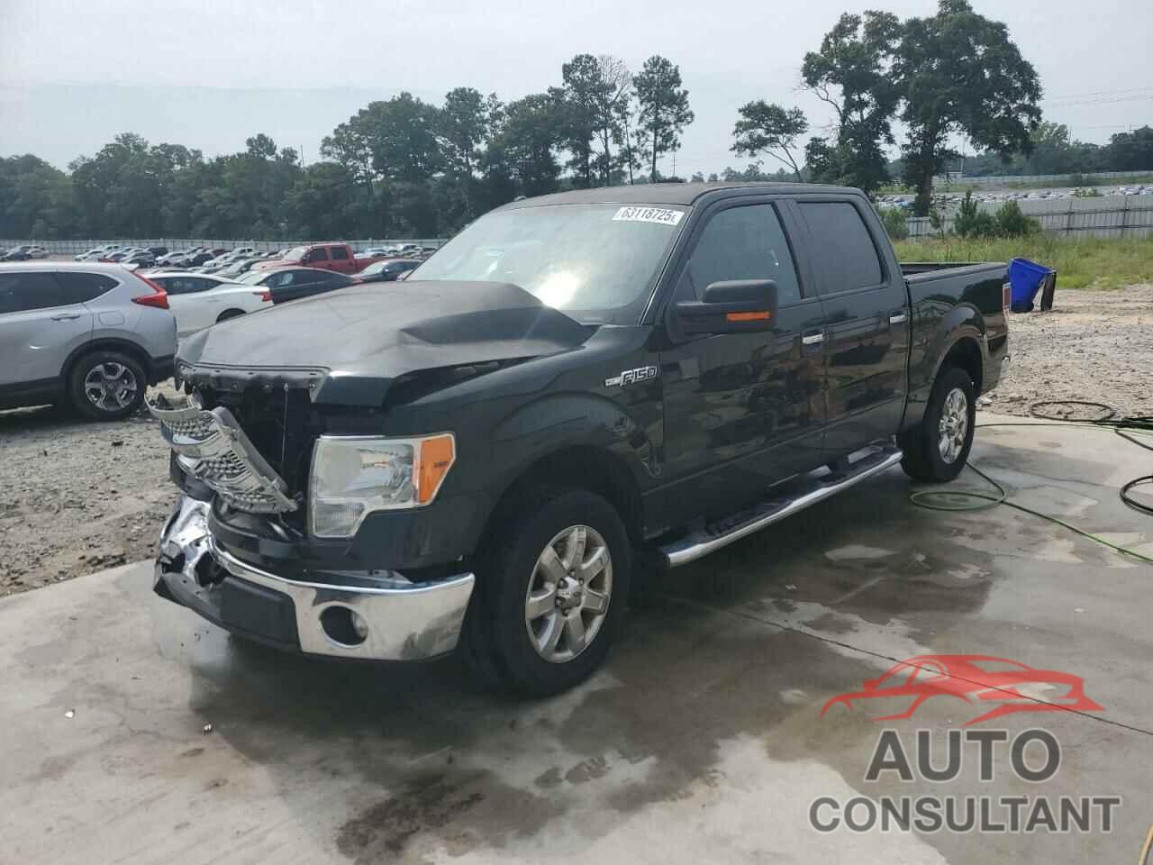 FORD F-150 2013 - 1FTFW1CF4DKE08431