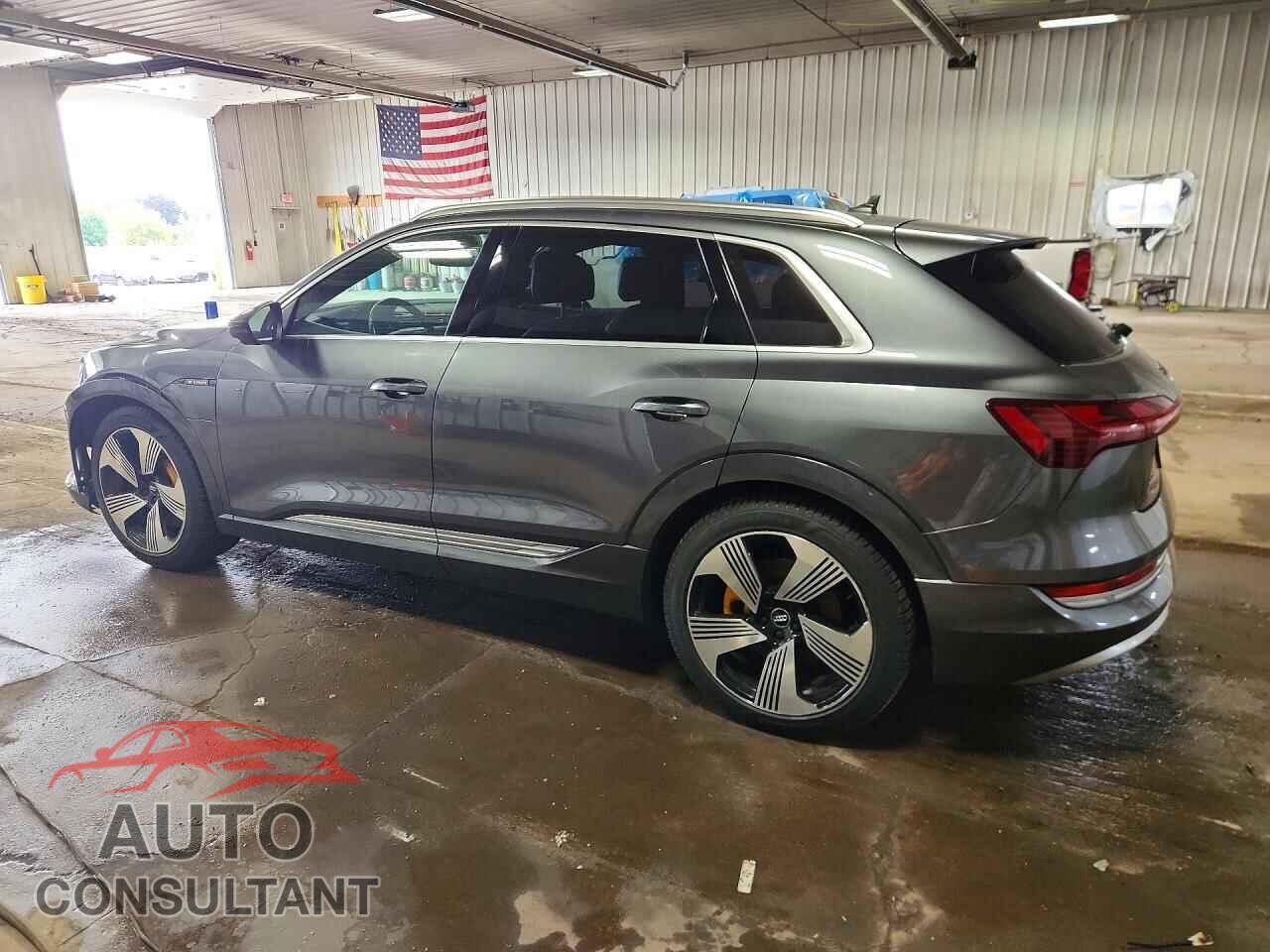 AUDI E-TRON 2019 - WA1VAAGE9KB007489