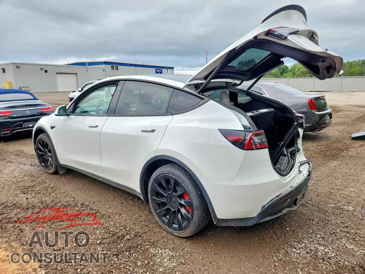 TESLA MODEL Y 2022 - 7SAYGAEE2NF359547
