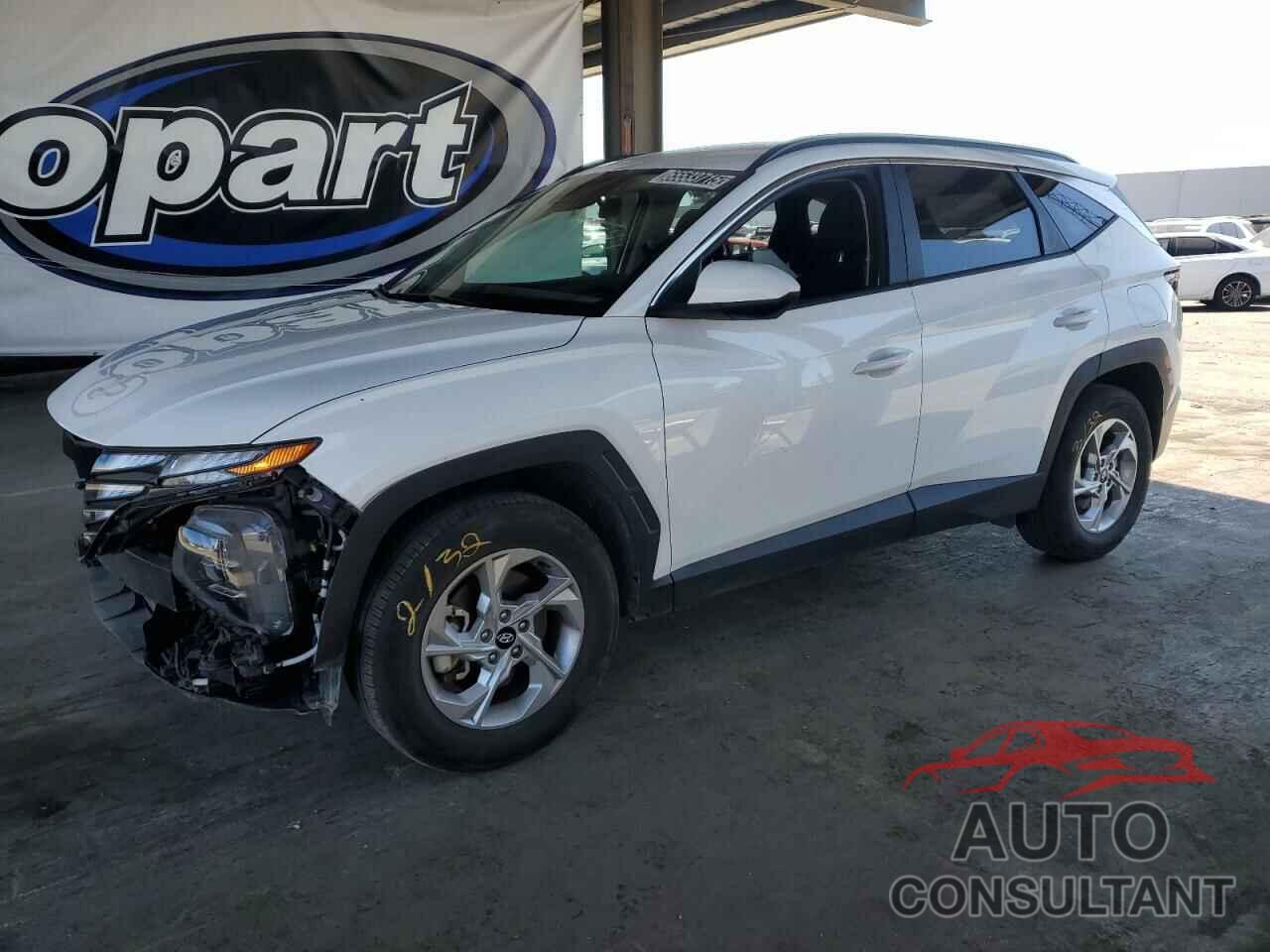 HYUNDAI TUCSON 2024 - 5NMJBCDE9RH420634