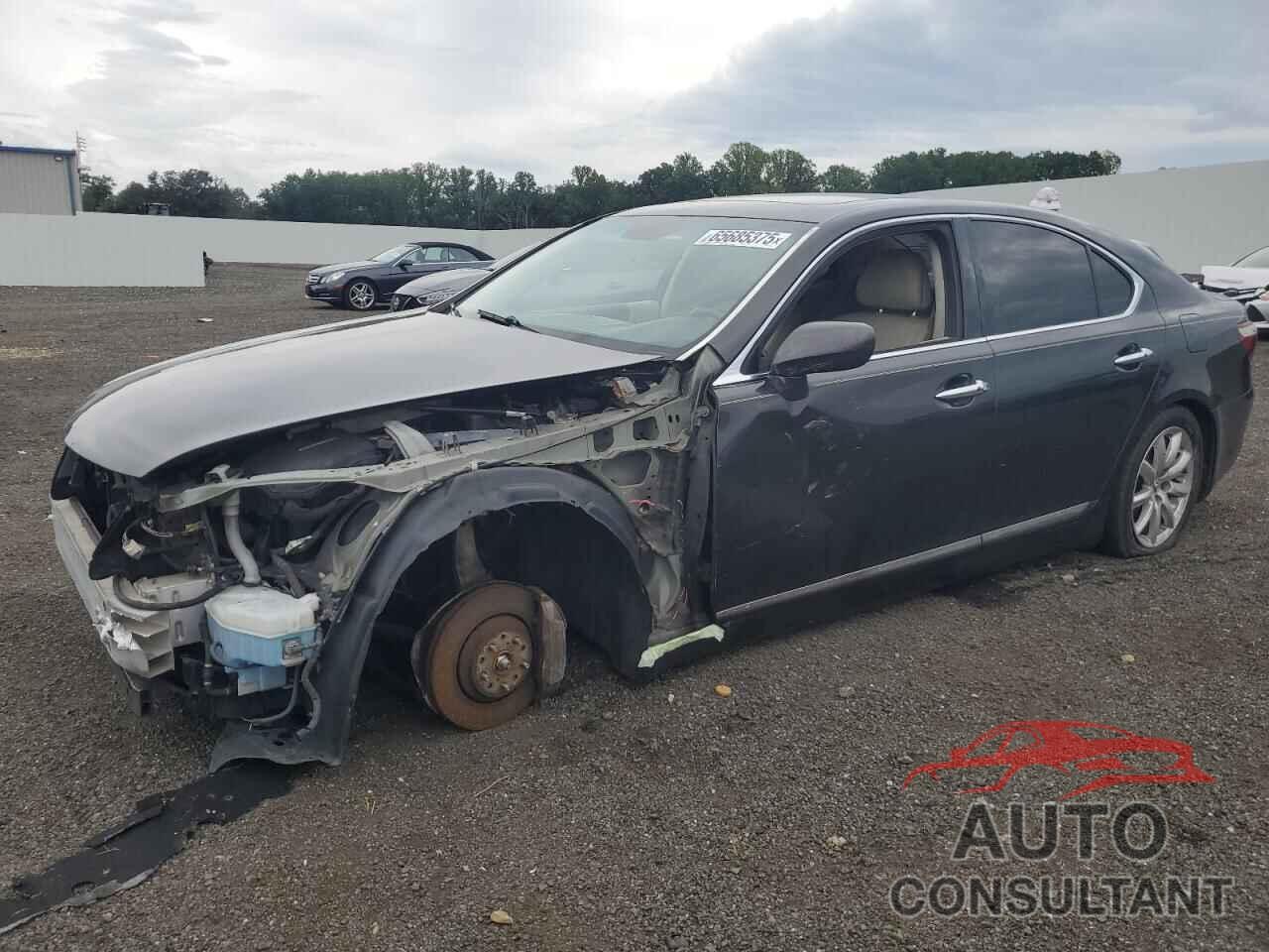 LEXUS LS460 2009 - JTHCL46F295004329