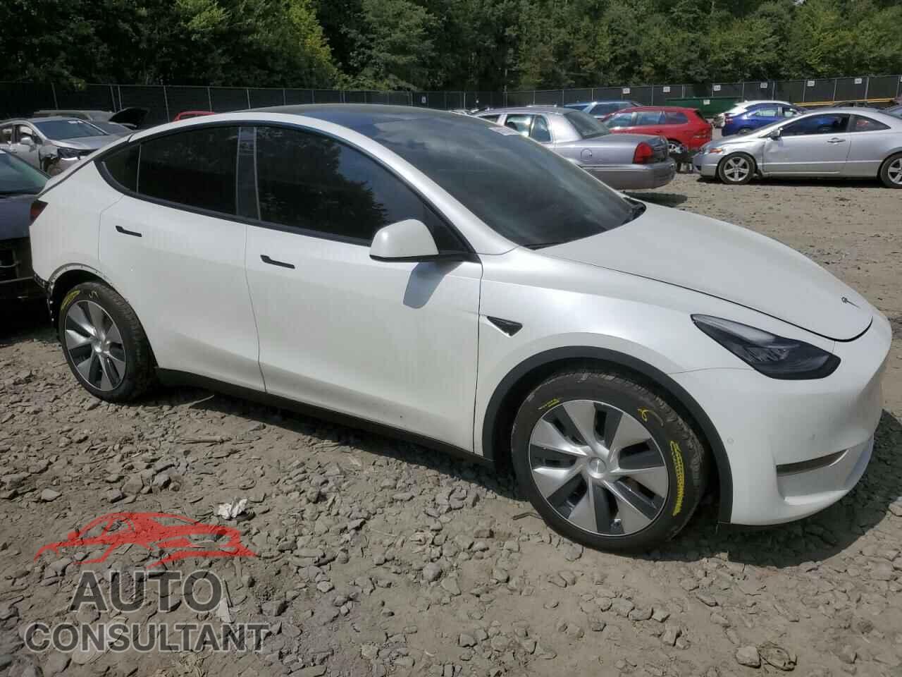 TESLA MODEL Y 2021 - 5YJYGDEEXMF200224