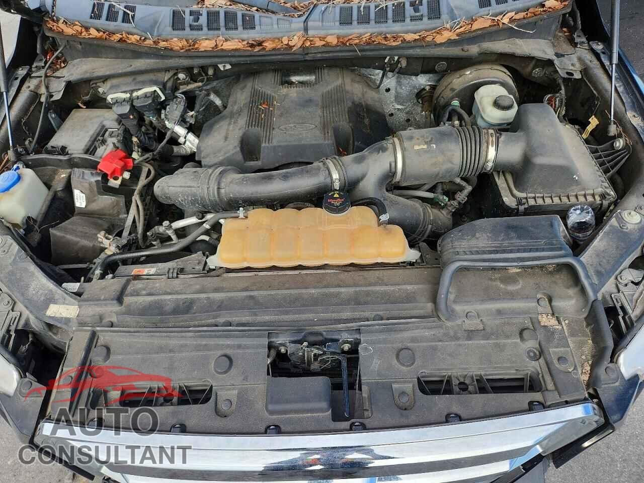 FORD F150 2017 - 1FTEW1CG4HKD00594