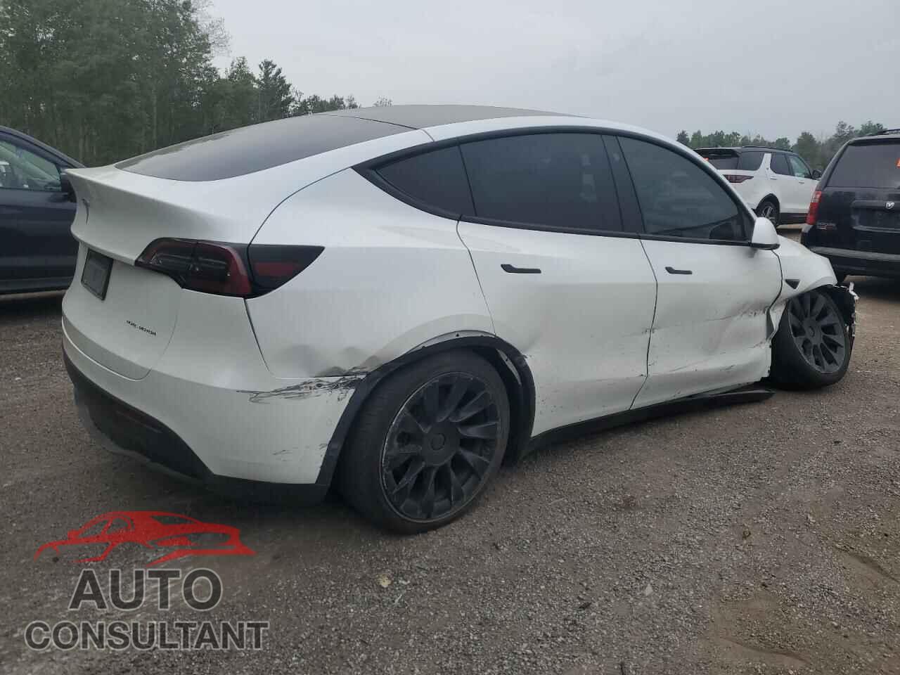 TESLA MODEL Y 2022 - 7SAYGDEE9NF514144