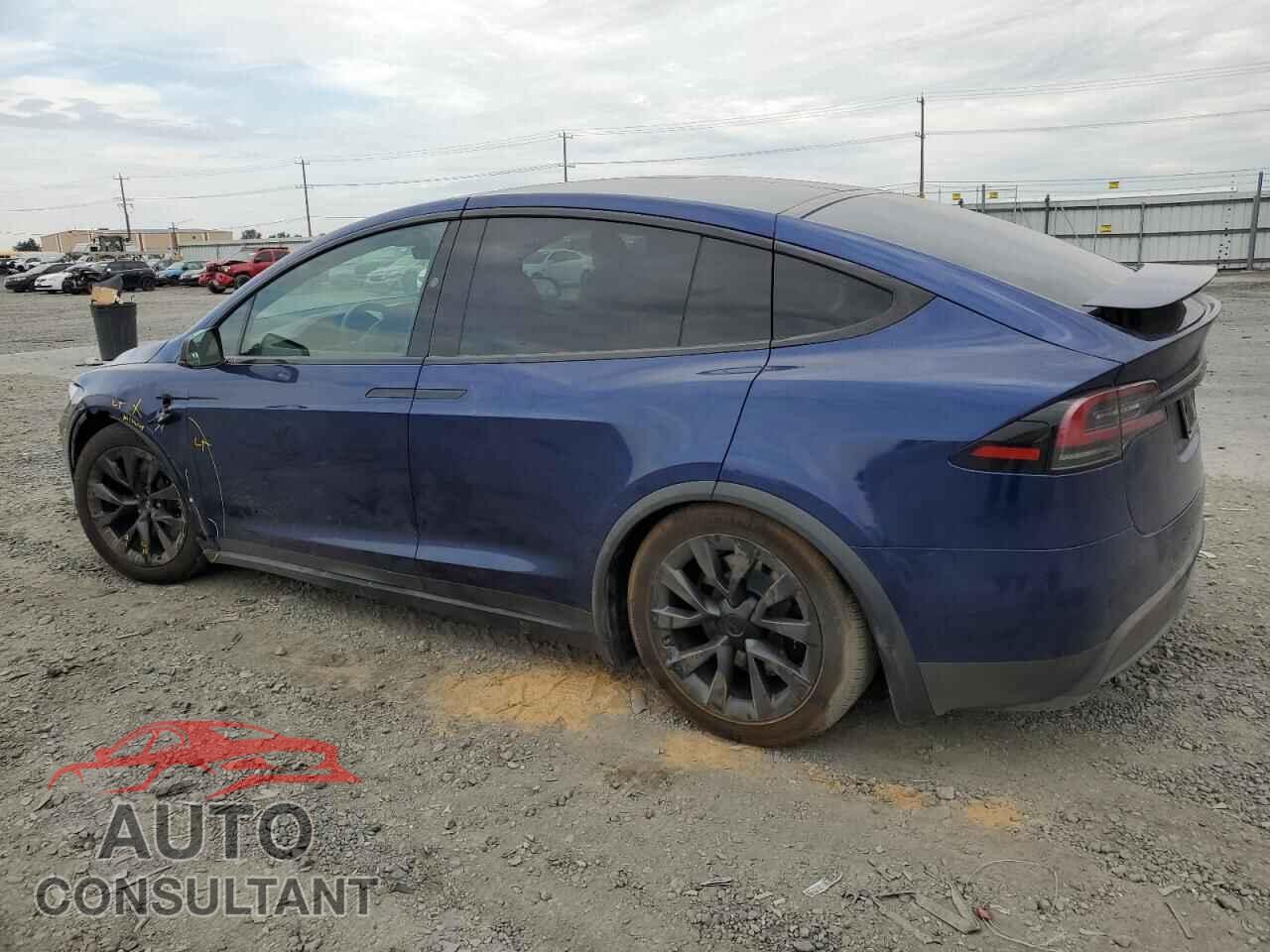 TESLA MODEL X 2024 - 7SAXCAE55RF439244
