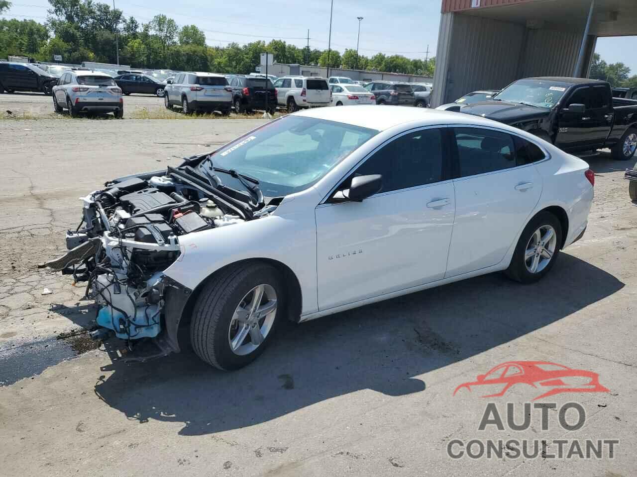 CHEVROLET MALIBU 2023 - 1G1ZC5ST1PF125902