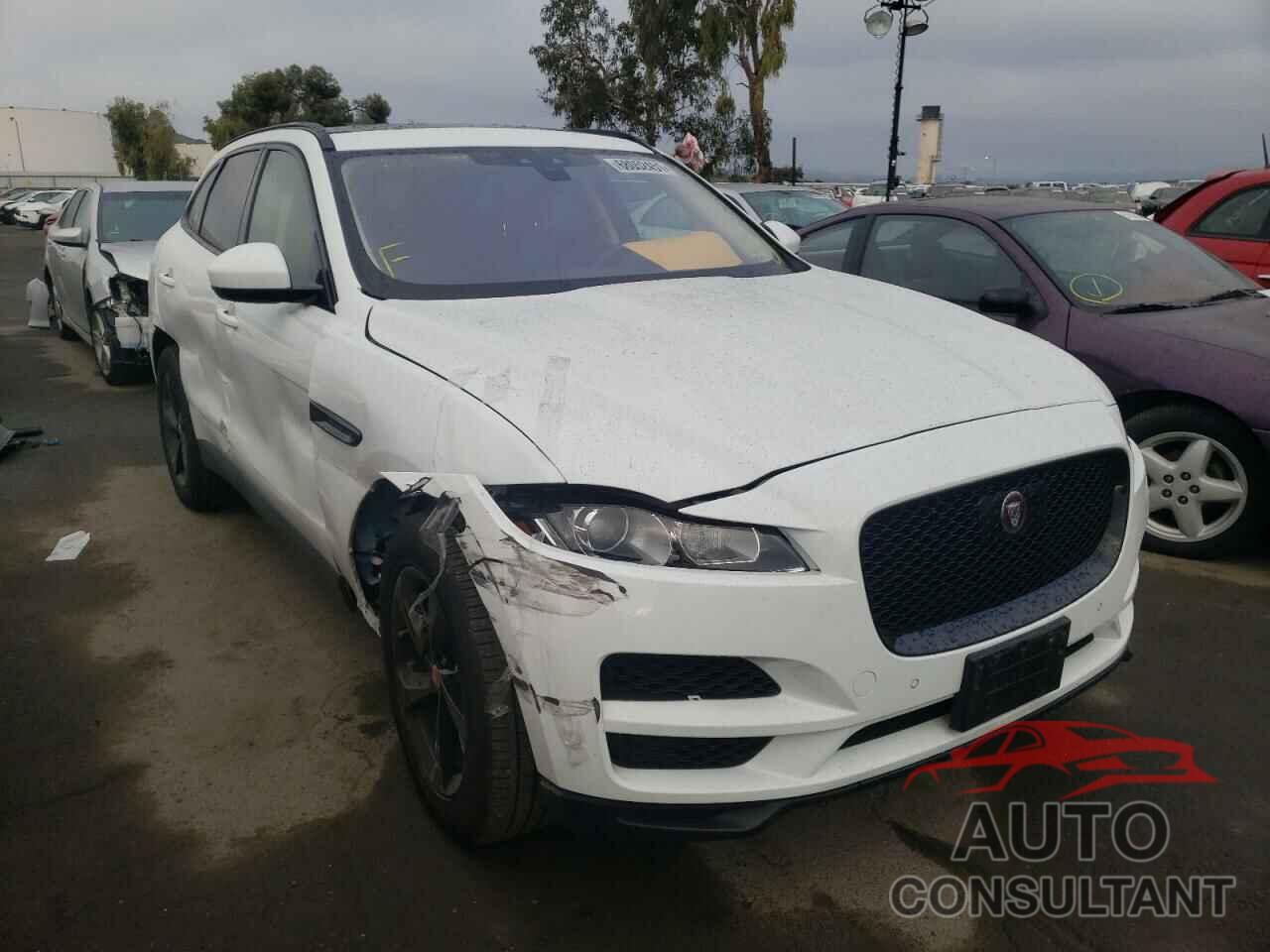 JAGUAR F-PACE 2019 - SADCJ2FX7KA357168