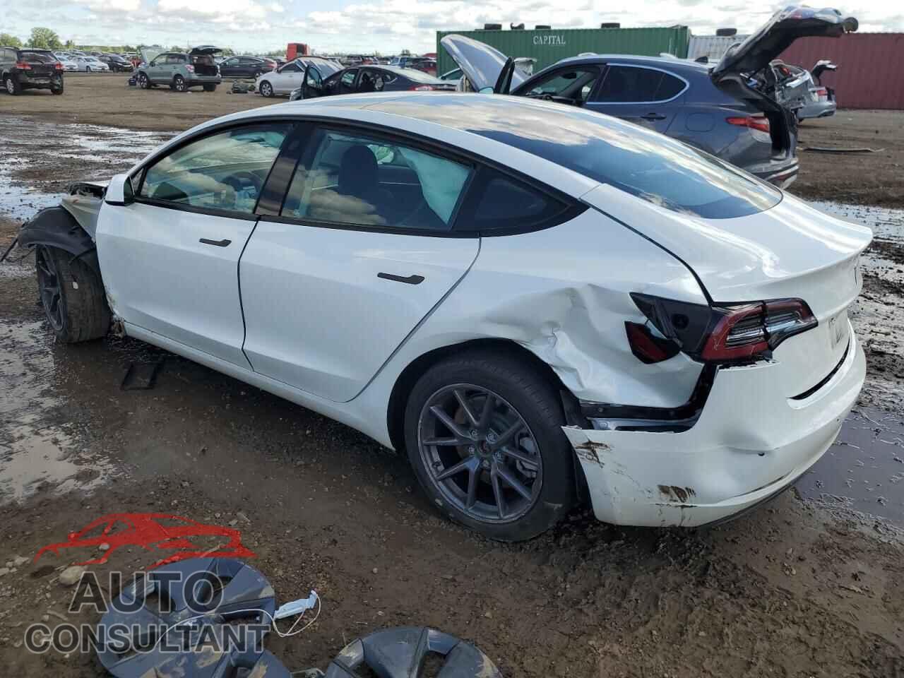 TESLA MODEL 3 2021 - 5YJ3E1EA5MF045951