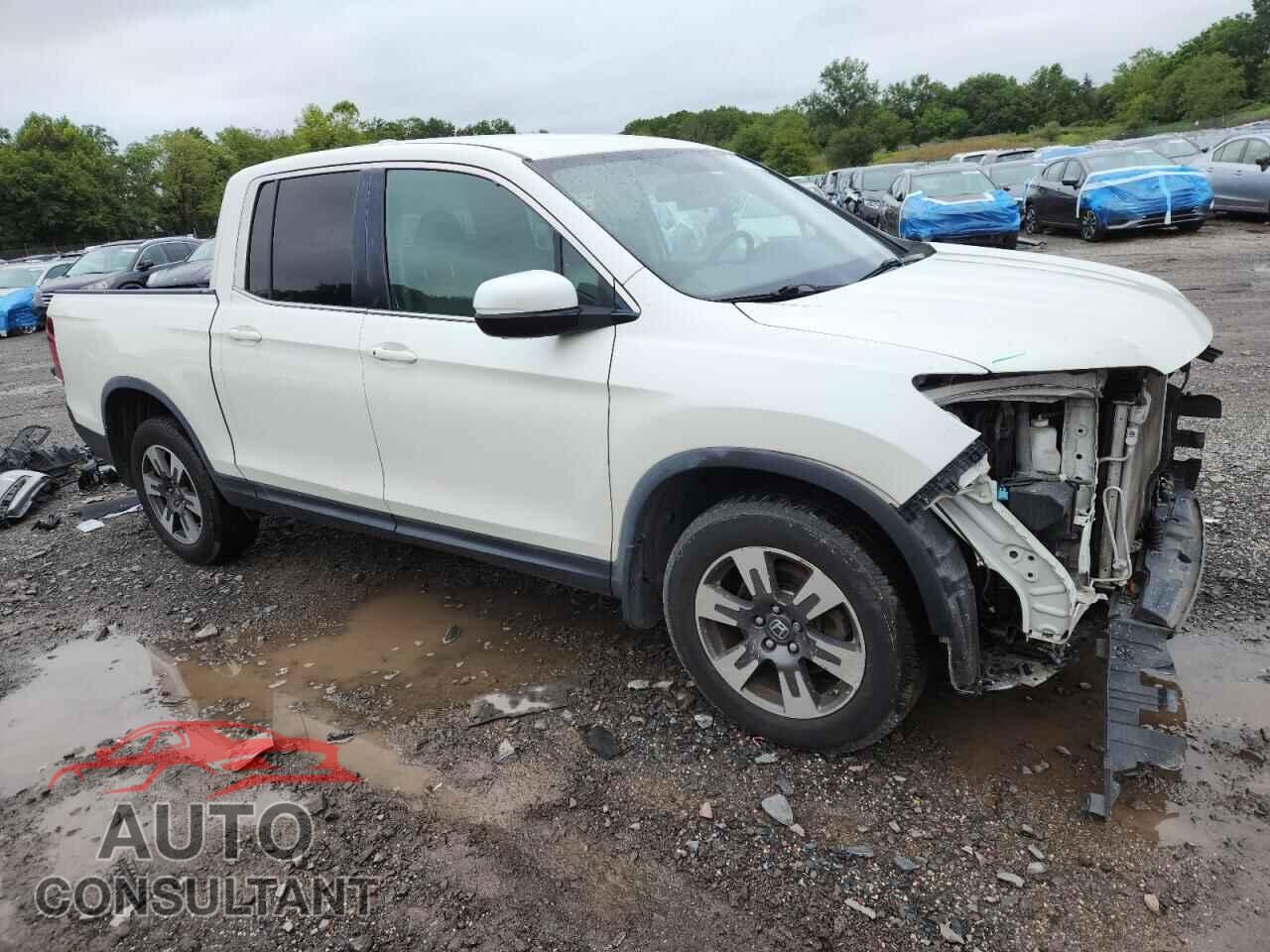 HONDA RIDGELINE 2017 - 5FPYK3F54HB018202
