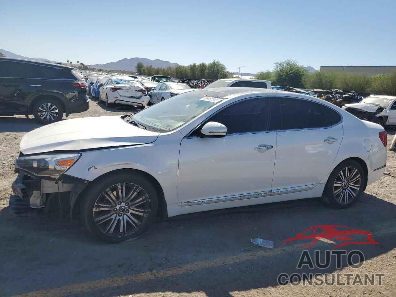 KIA CADENZA 2014 - KNALN4D74E5153226