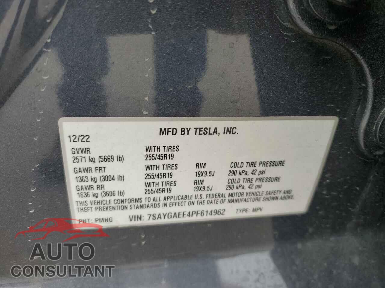 TESLA MODEL Y 2023 - 7SAYGAEE4PF614962