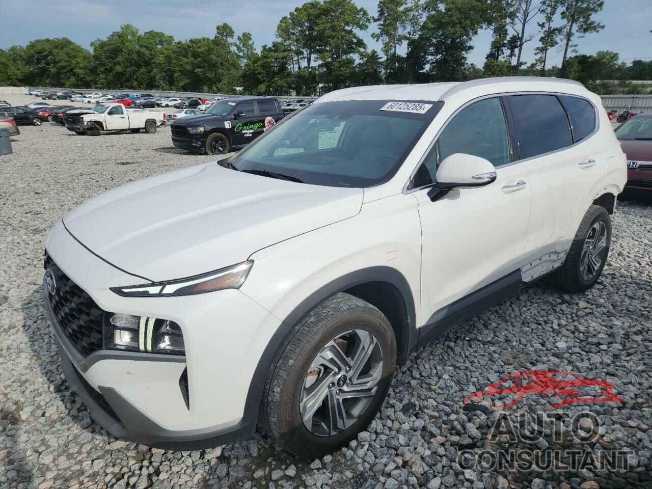HYUNDAI SANTA FE 2023 - 5NMS24AJ1PH536273