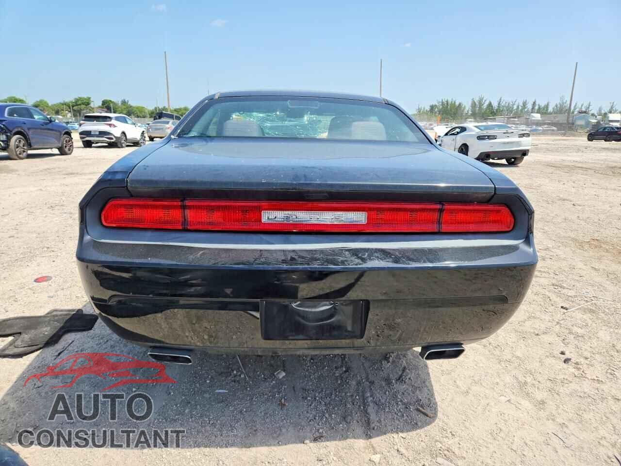 DODGE CHALLENGER 2013 - 2C3CDYAG3DH669882