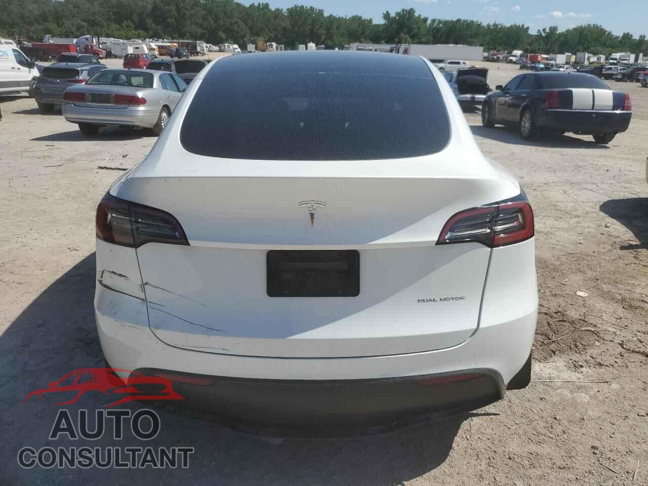 TESLA MODEL Y 2023 - 7SAYGDEE8PF715519