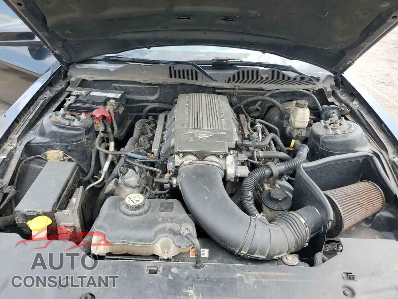 FORD MUSTANG 2010 - 1ZVBP8CH6A5117040