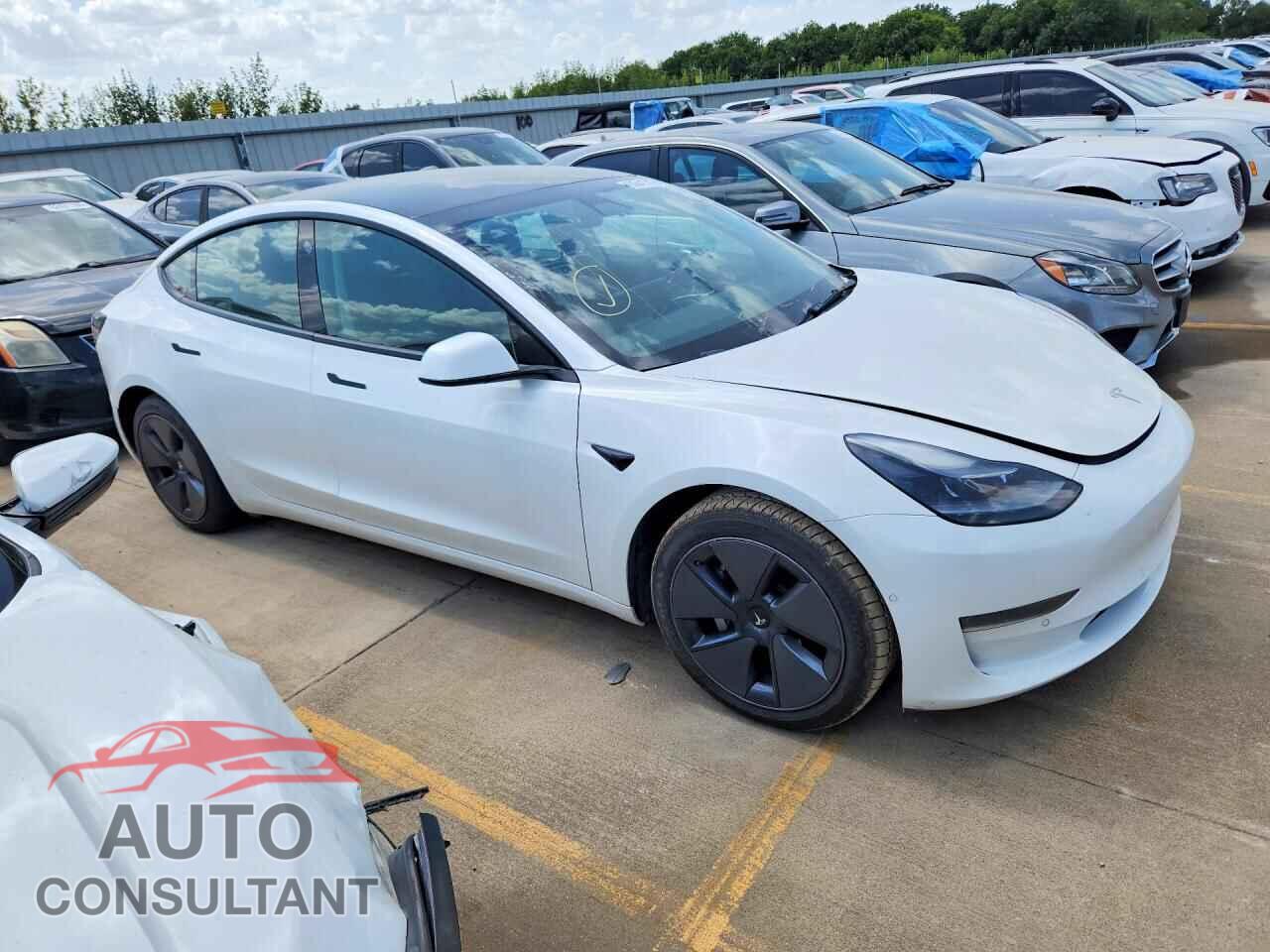 TESLA MODEL 3 2021 - 5YJ3E1EA8MF100280