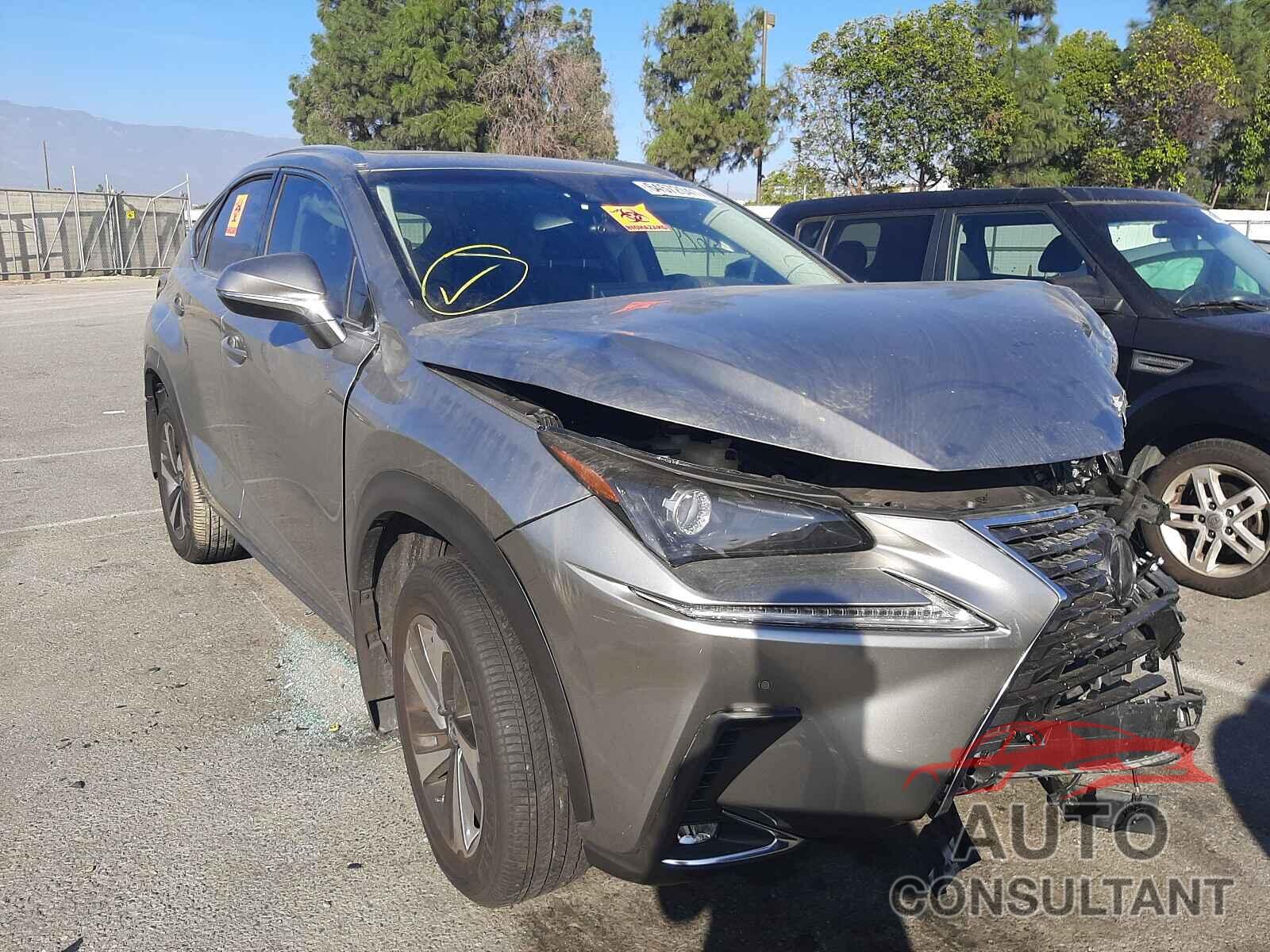 LEXUS NX 2019 - JTJBARBZ1K2187016