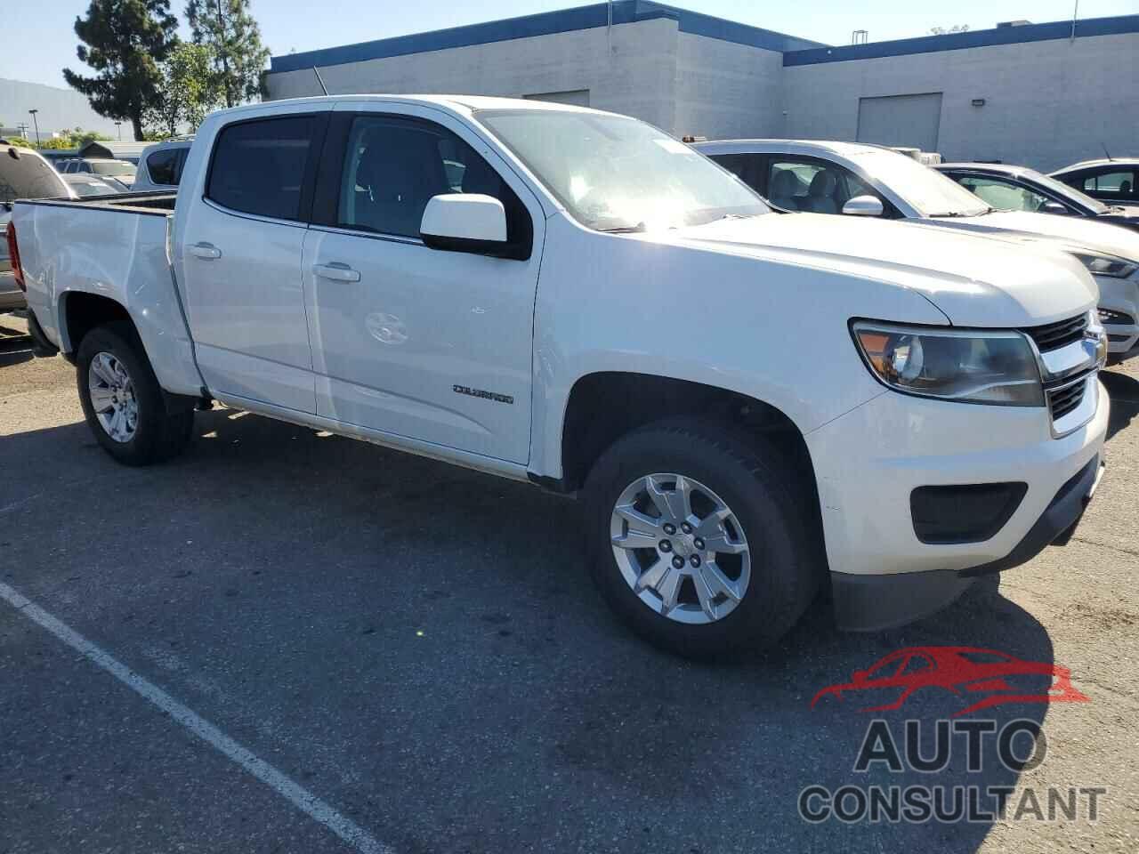 CHEVROLET COLORADO 2019 - 1GCGSCEN8K1141331
