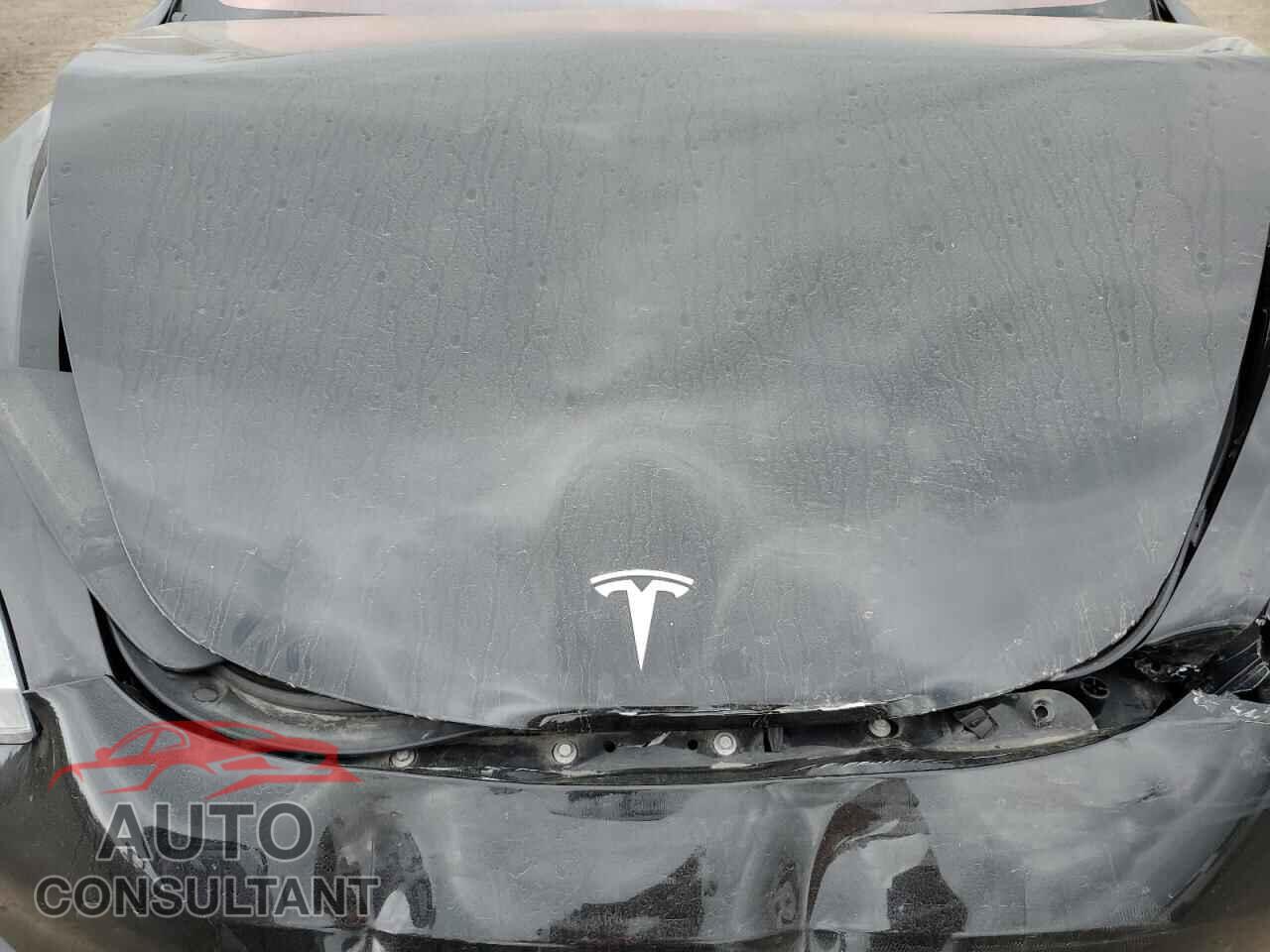 TESLA MODEL 3 2019 - 5YJ3E1EA5KF415440