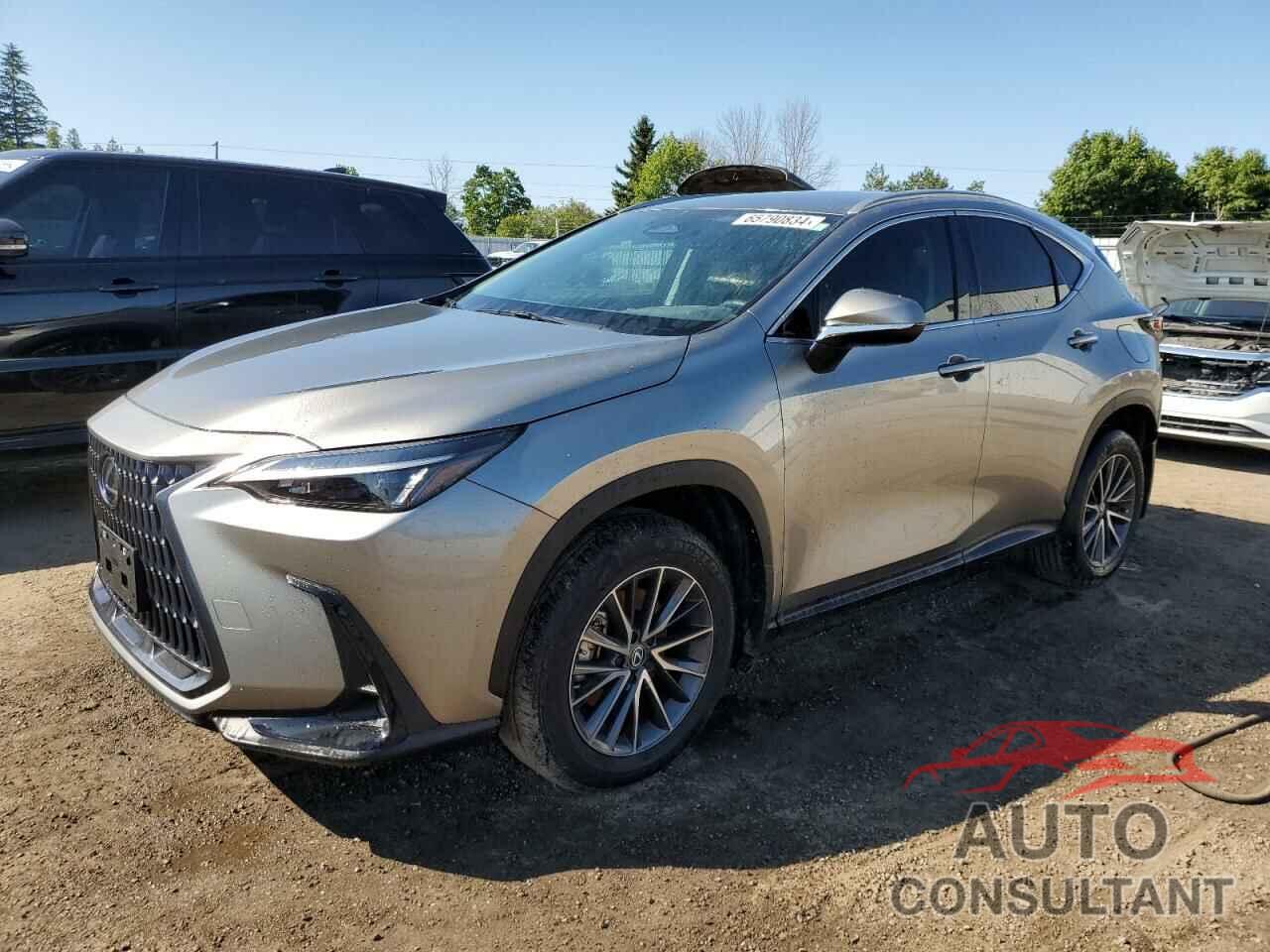 LEXUS NX 250 BAS 2024 - 2T2ADCEZ4RC004990