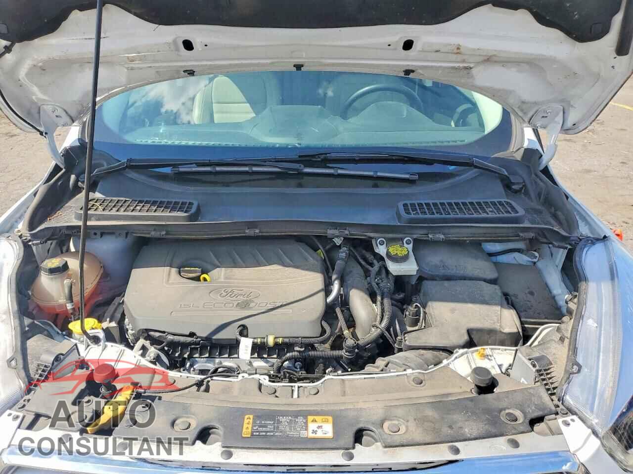 FORD ESCAPE 2018 - 1FMCU0HD9JUC32191