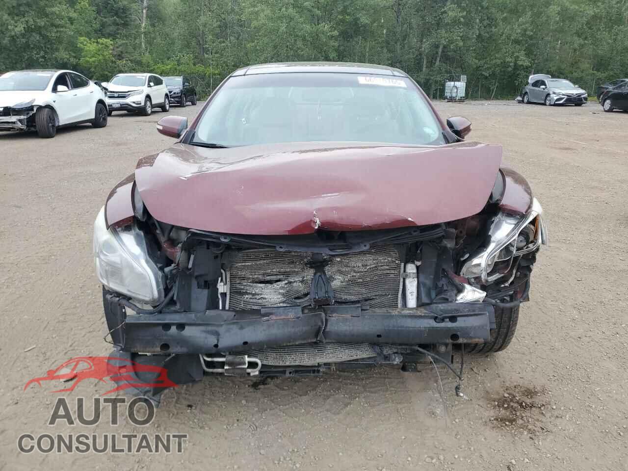 NISSAN MAXIMA 2010 - 1N4AA5AP1AC804789