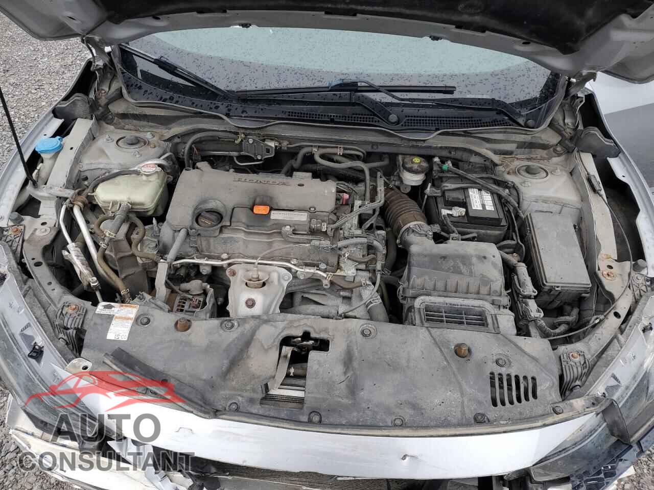 HONDA CIVIC 2019 - 2HGFC2F58KH007357