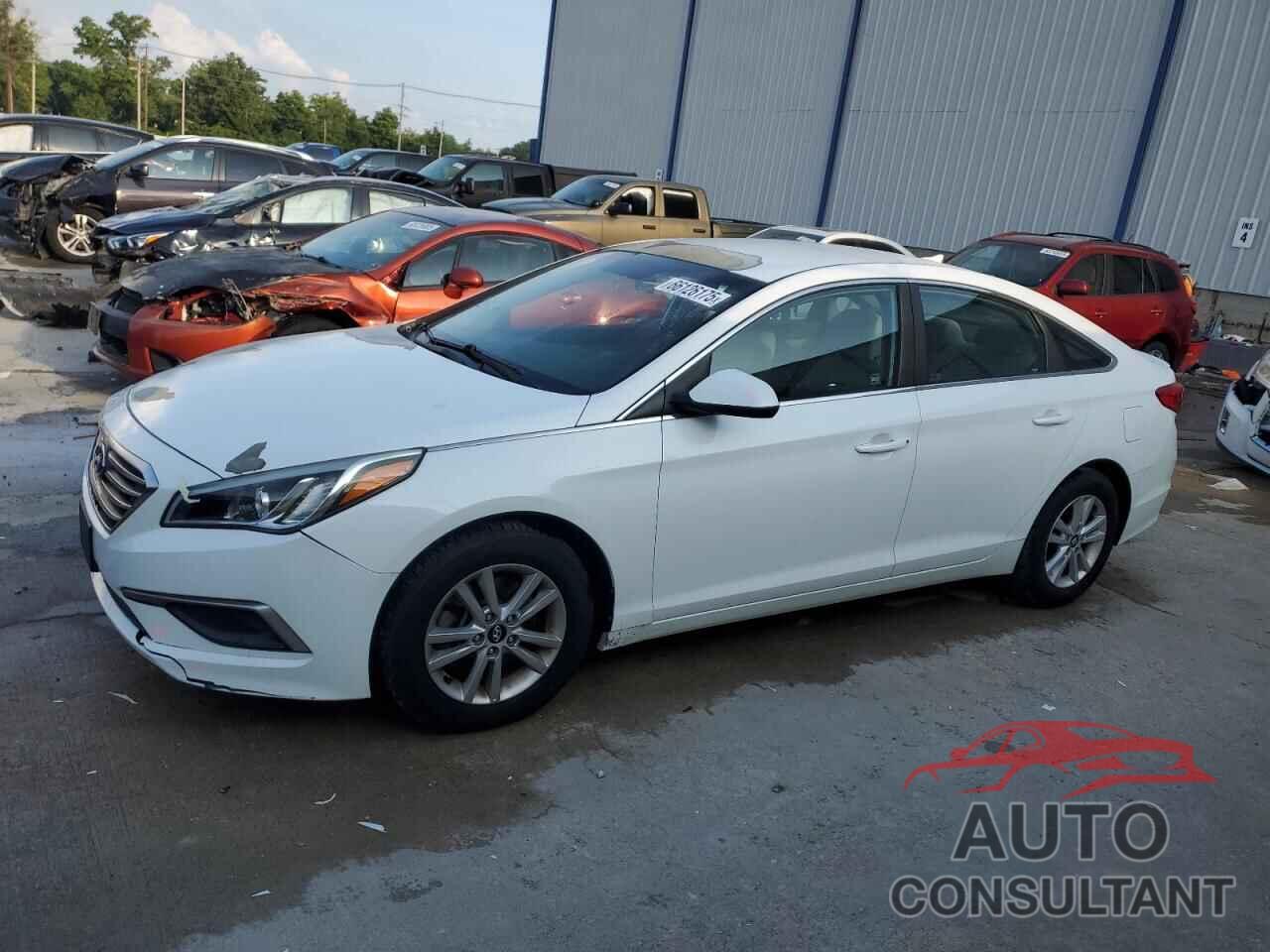 HYUNDAI SONATA 2017 - 5NPE24AF8HH493029