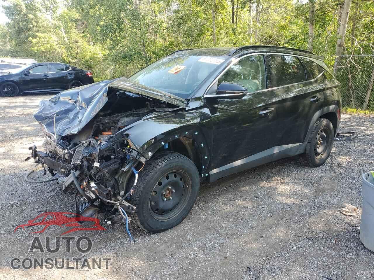 HYUNDAI TUCSON ULT 2024 - KM8JDDD29RU145695