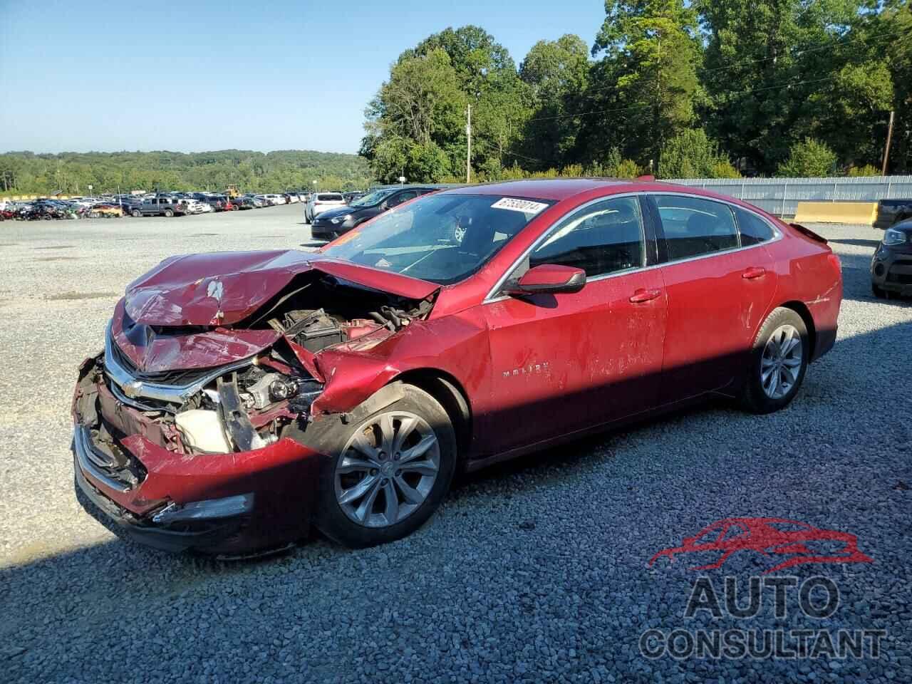 CHEVROLET MALIBU 2019 - 1G1ZD5STXKF105931