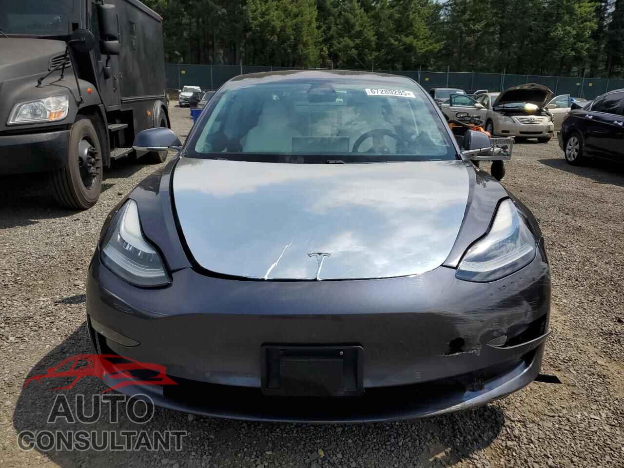 TESLA MODEL 3 2018 - 5YJ3E1EA5JF155961